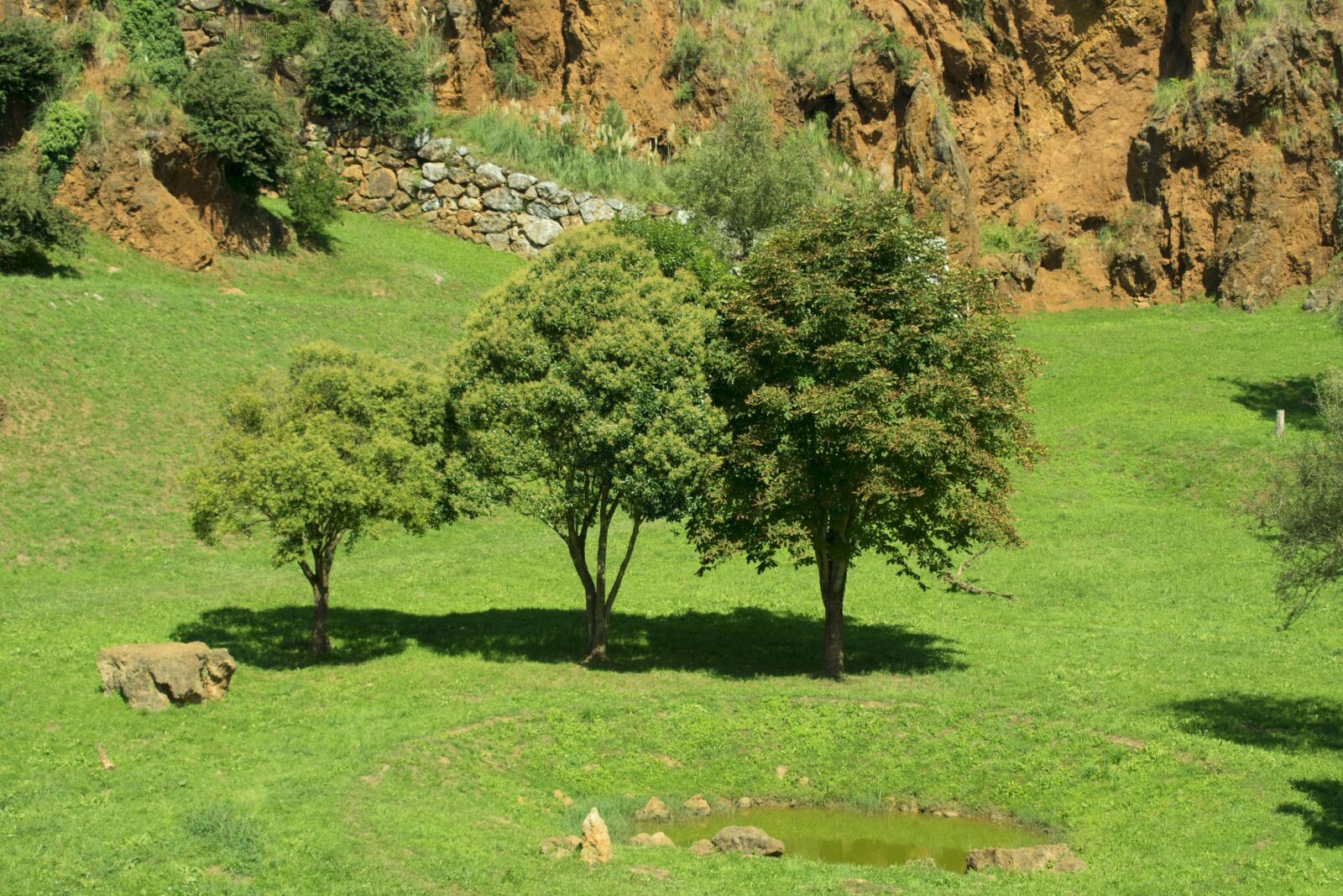 Nikon D3400 sample photo. Trees, nature, landscape photography