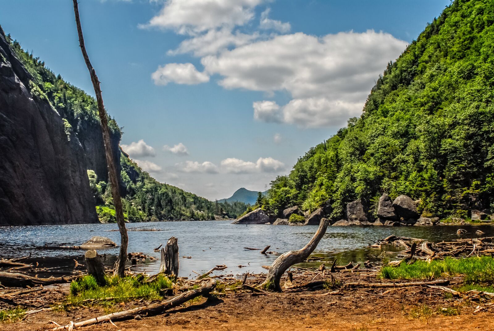 Nikon D200 sample photo. Avalanche lake, adirondacks, new photography