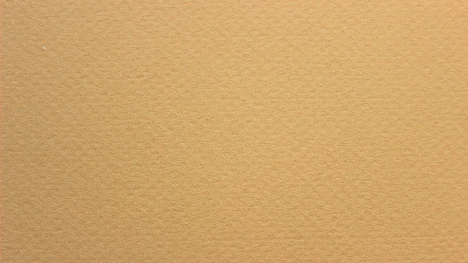 Canon EOS 600D (Rebel EOS T3i / EOS Kiss X5) sample photo. Paper, texture, invoiced photography