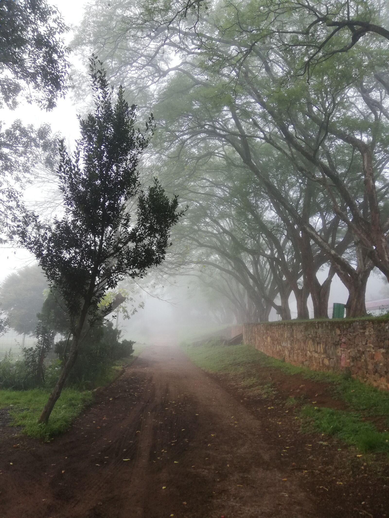 HUAWEI P20 lite sample photo. Pilgrims rest, south africa photography