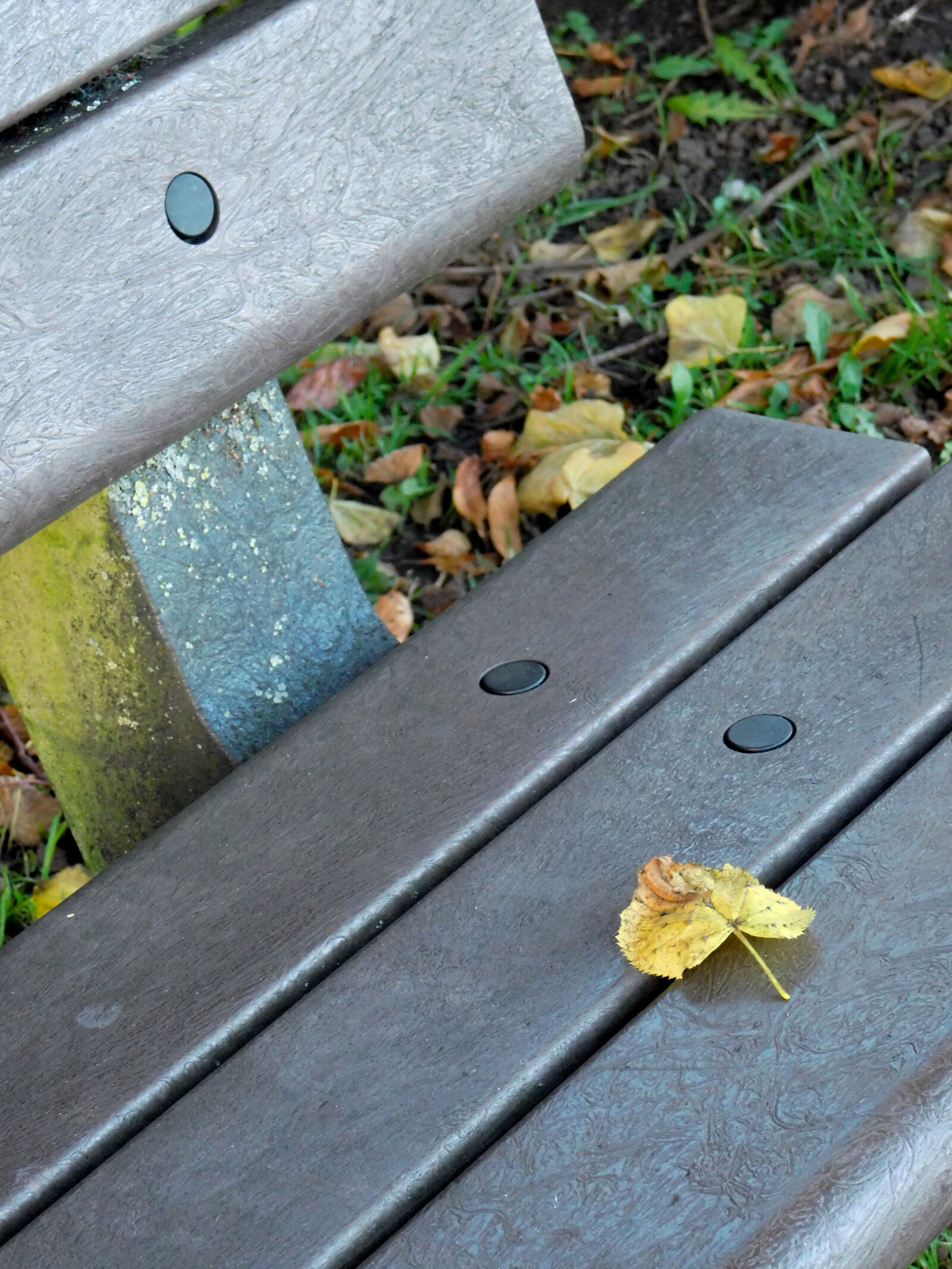 Nikon Coolpix L840 sample photo. Autumn, leaf, bench, city photography