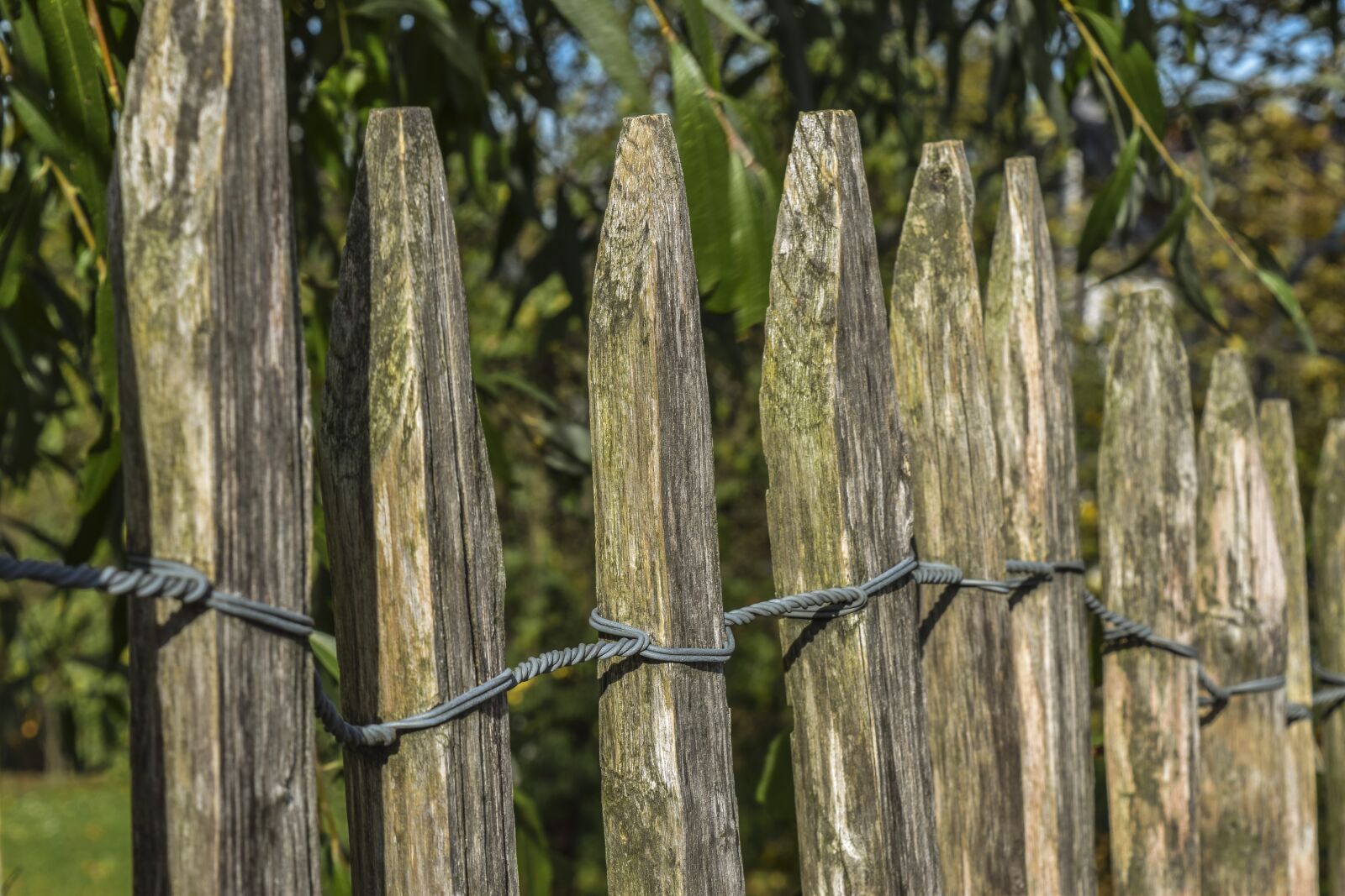 Nikon D3300 sample photo. Wood, fence, background photography