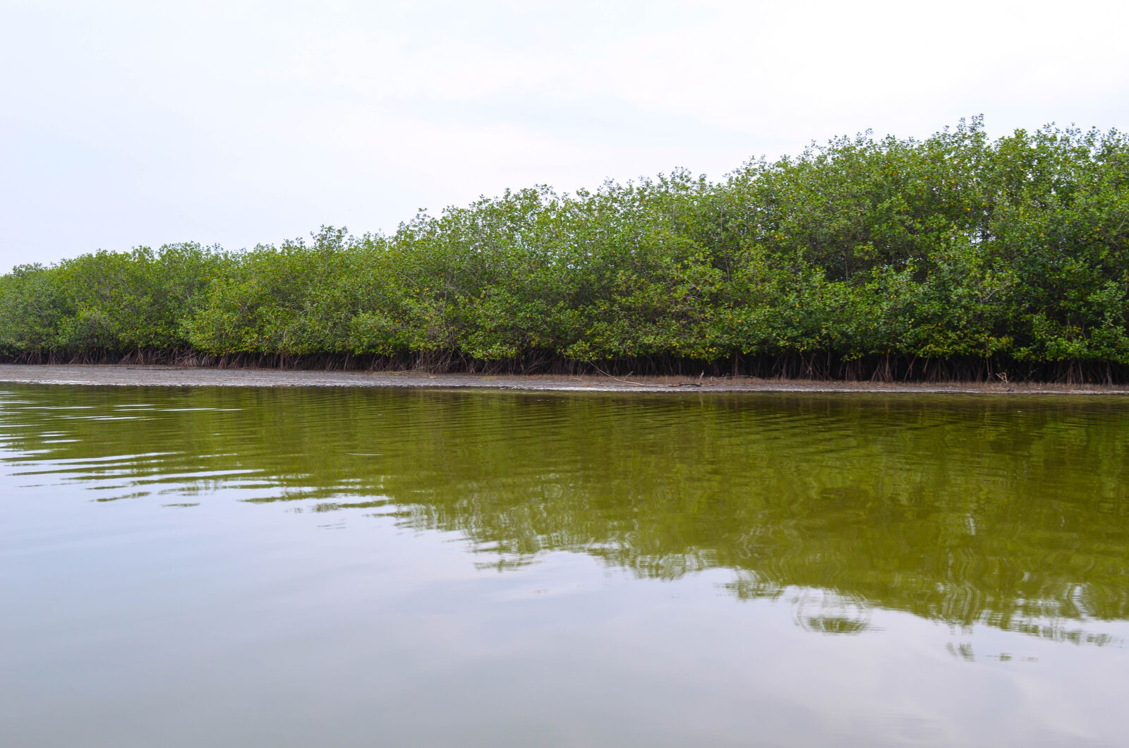 Nikon D7000 sample photo. Puerto, pizarro, tumbes photography