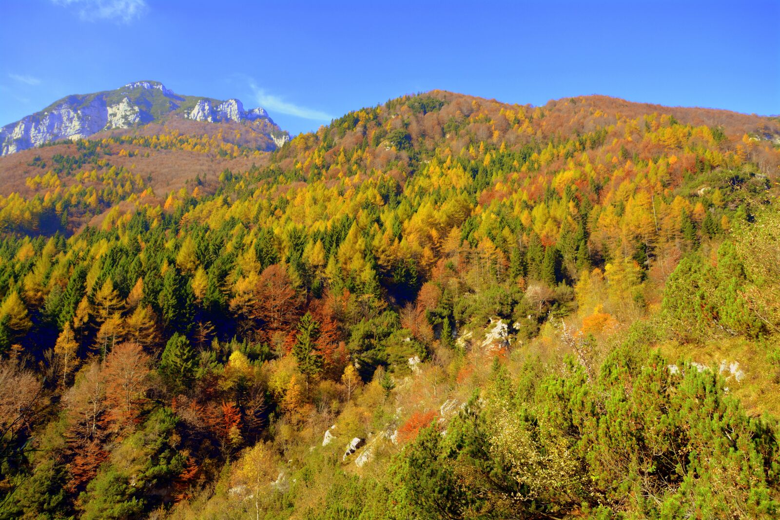 Nikon D7100 sample photo. Forest, mountain, autumn photography