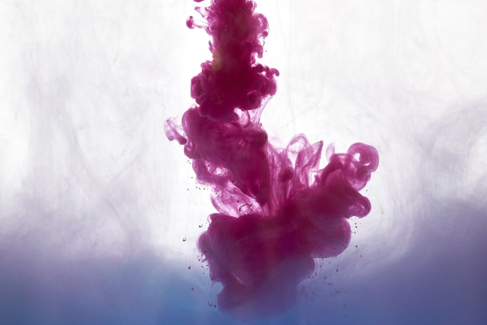 Sigma 85mm F1.4 DG HSM Art sample photo. Ink, paint, water photography