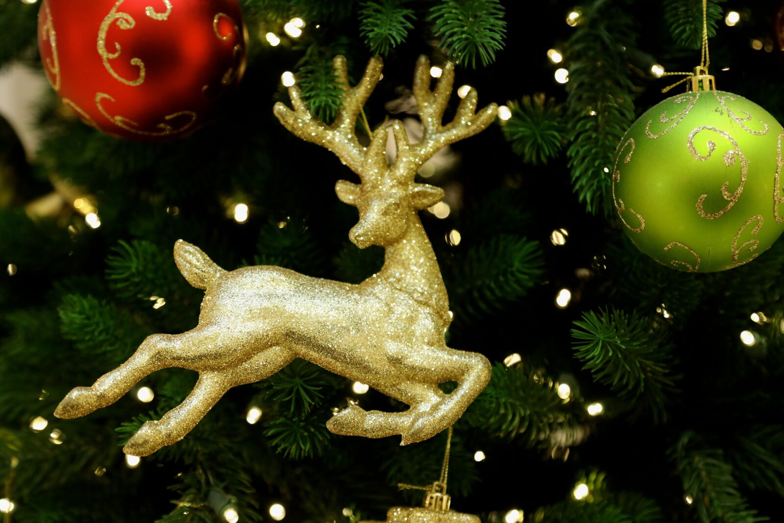 Canon EOS 5D Mark IV sample photo. December, christmas, cologne photography