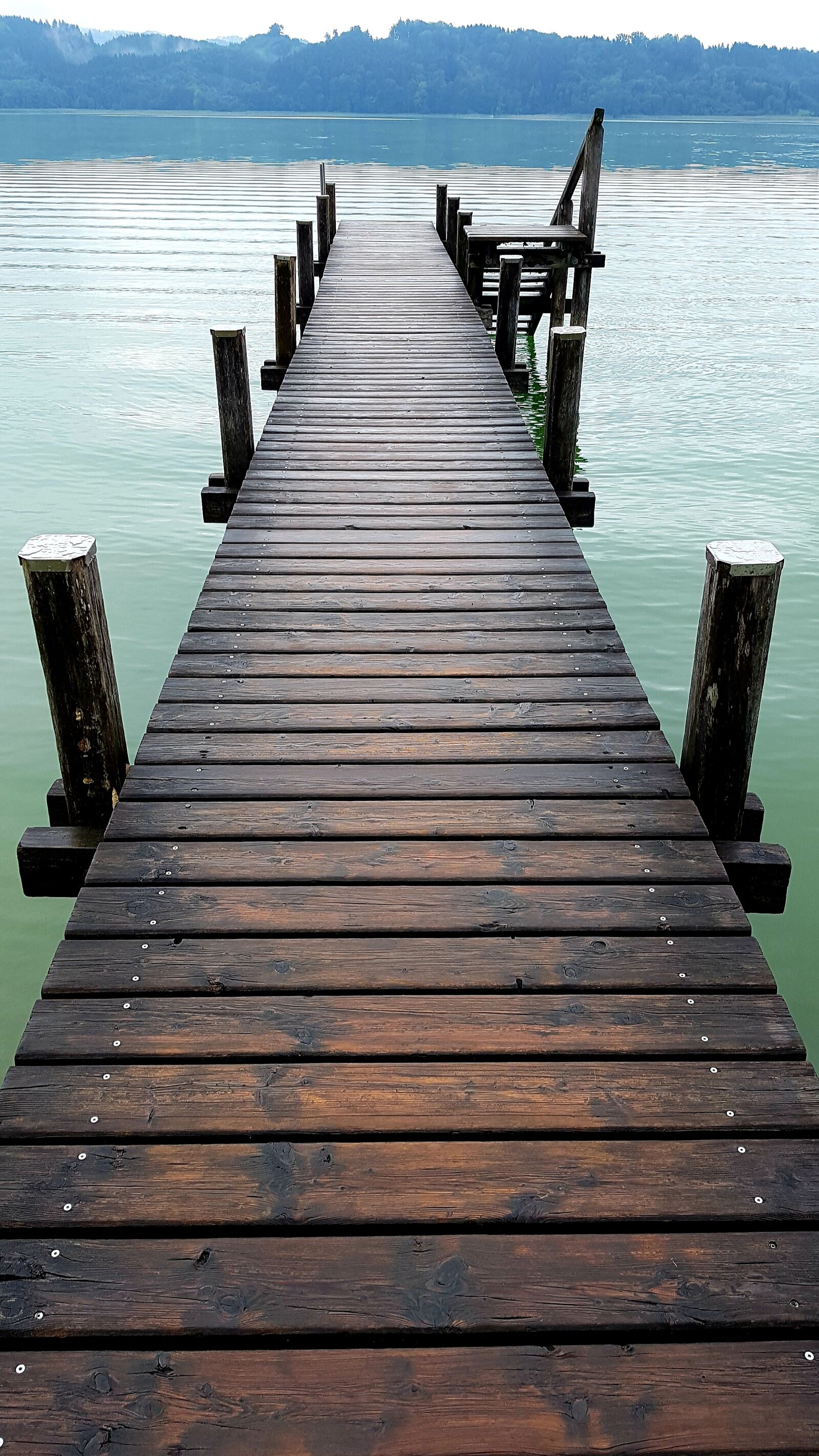 Samsung Galaxy S7 Edge sample photo. Web, wood, lake photography