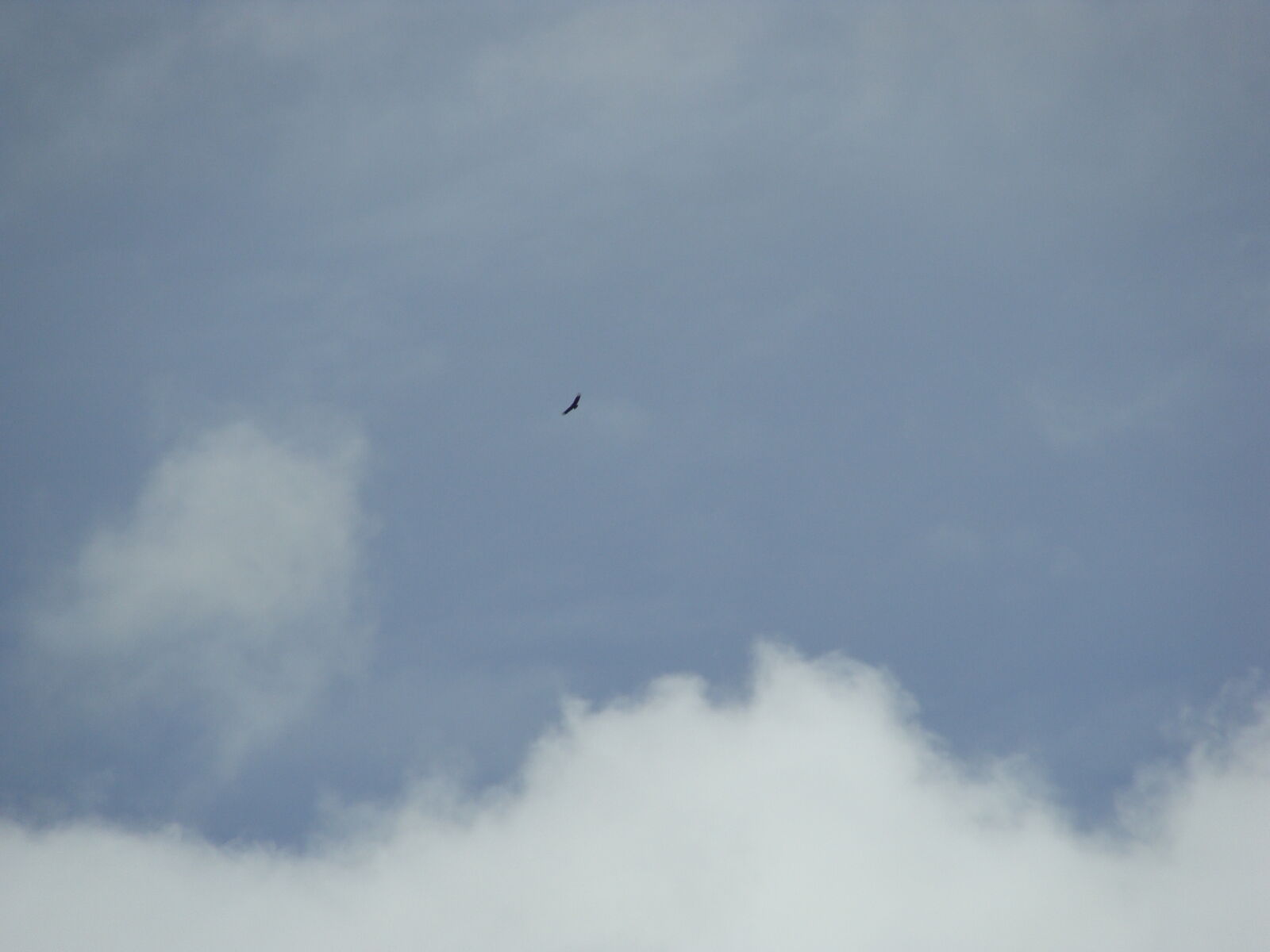 Sony Cyber-shot DSC-H10 sample photo