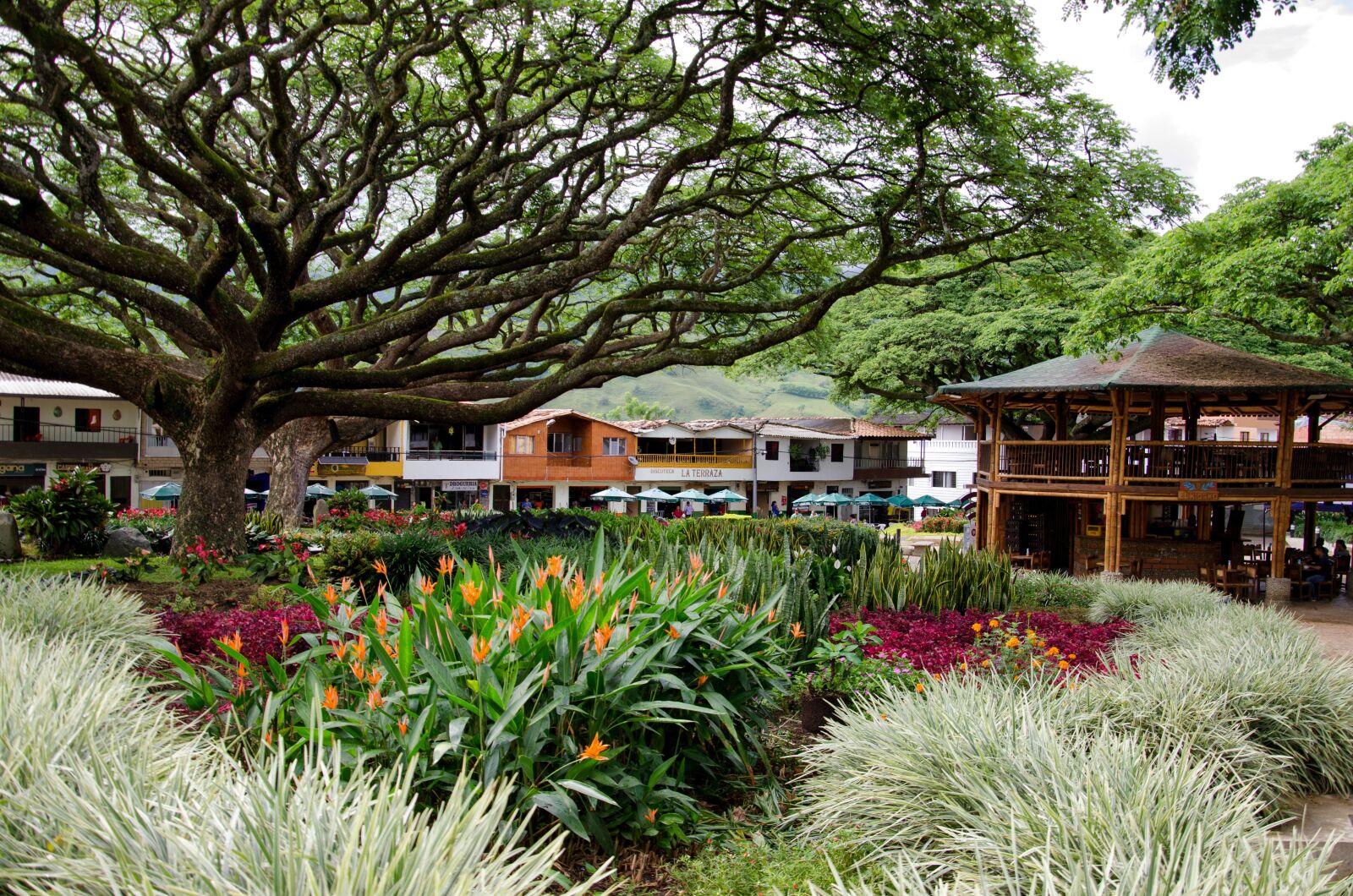 Nikon D5100 sample photo. Colombia, antioquia, hispania photography
