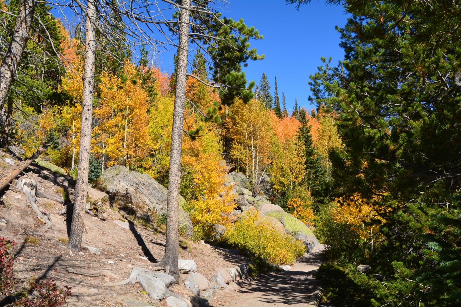 Nikon D5200 sample photo. Landscape, mountains, scenic photography