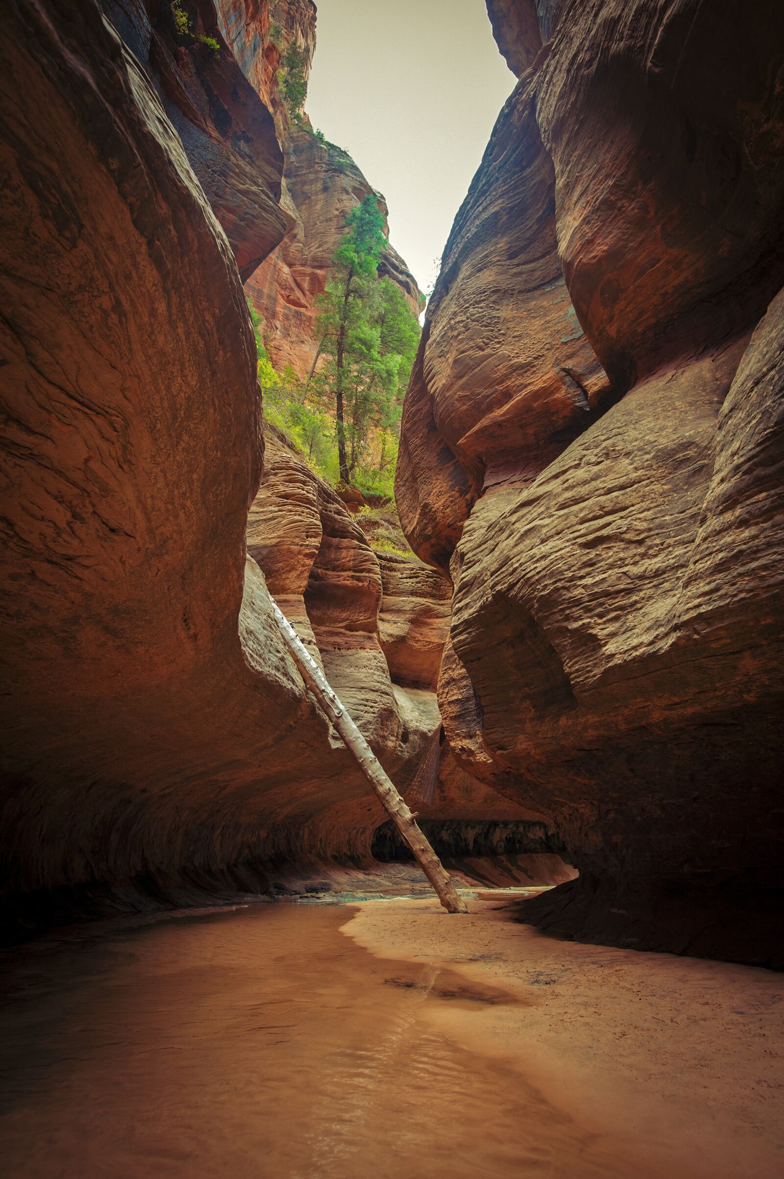 Nikon D700 sample photo. Desert, utah, landscape photography