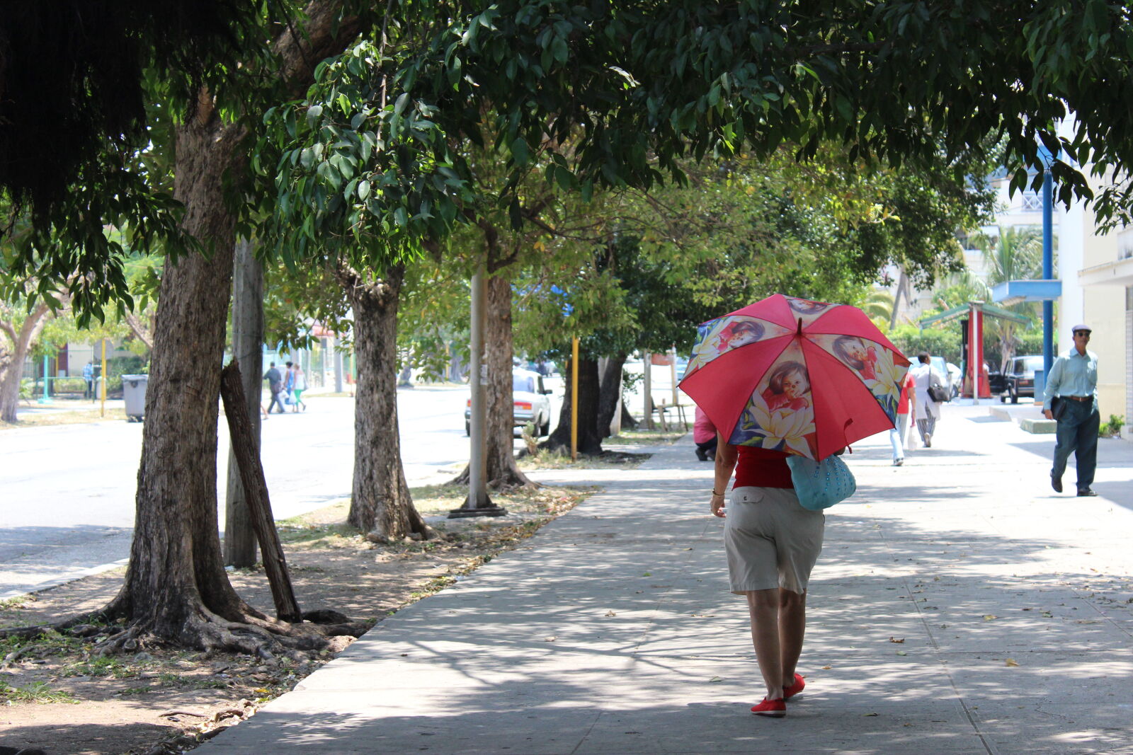 Canon EOS 600D (Rebel EOS T3i / EOS Kiss X5) sample photo. Street, trees, umbrella, walk photography