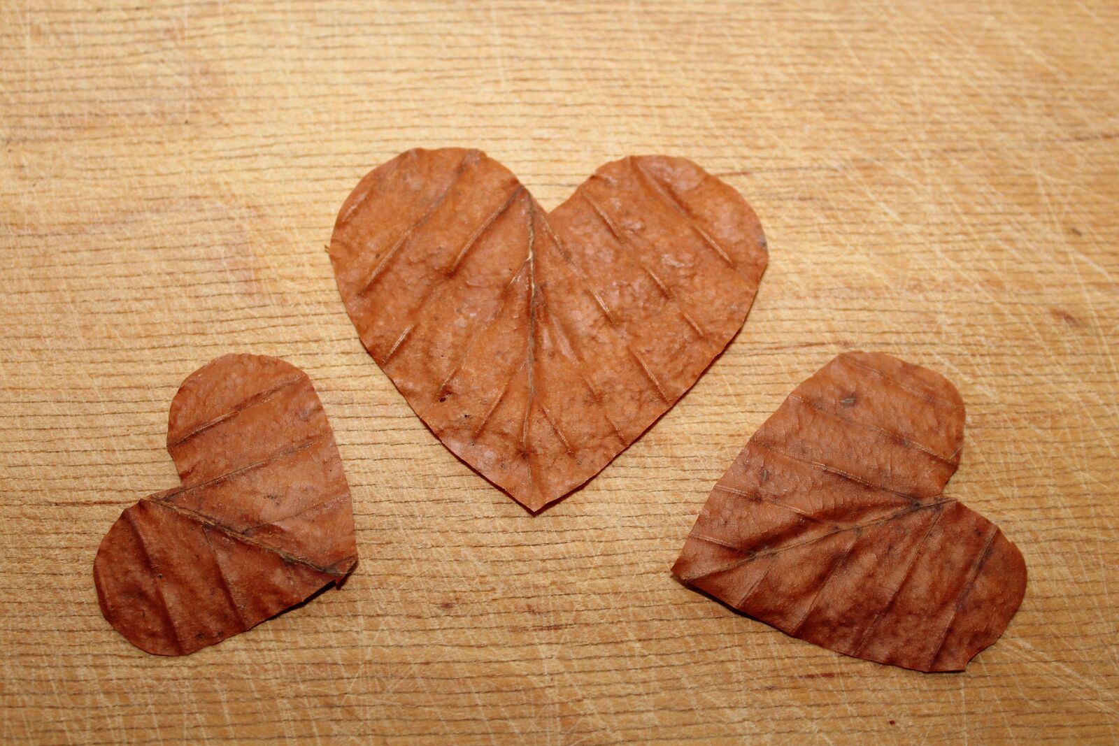 Canon EOS 1200D (EOS Rebel T5 / EOS Kiss X70 / EOS Hi) sample photo. Heart, valentine's day, symbols photography