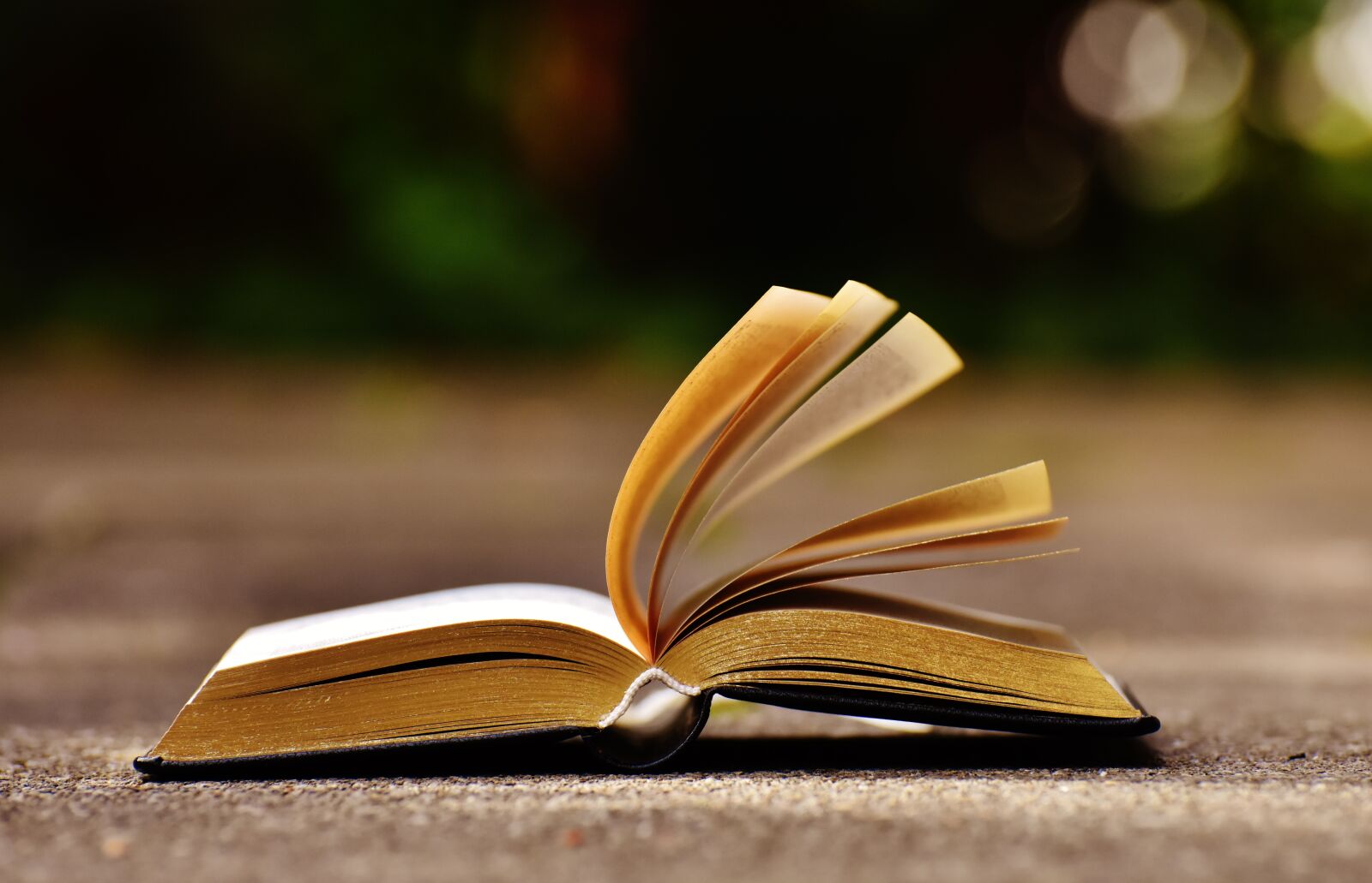 Nikon D7200 sample photo. Book, pitched, book pages photography