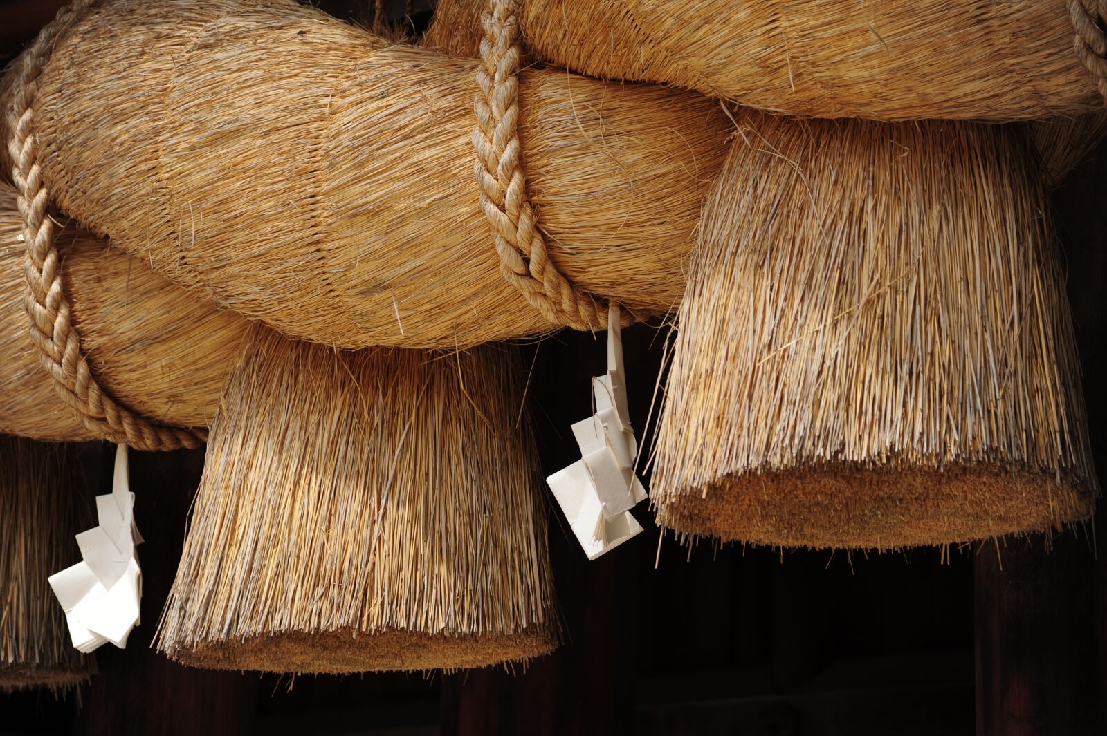 Nikon D700 sample photo. Izumo taisha, shimenawa, ritual photography