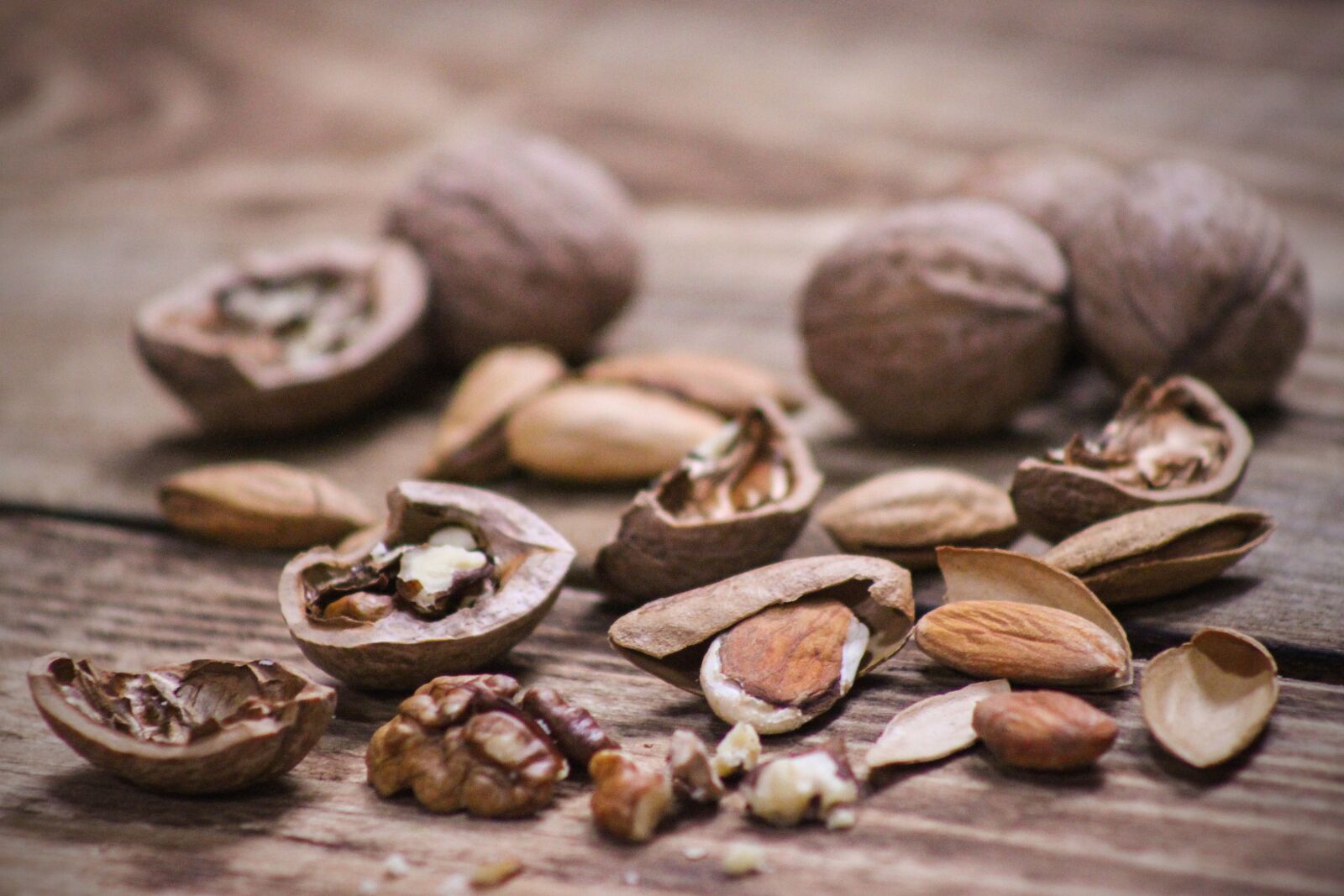 Canon EOS 500D (EOS Rebel T1i / EOS Kiss X3) sample photo. Nuts, walnut, almond photography