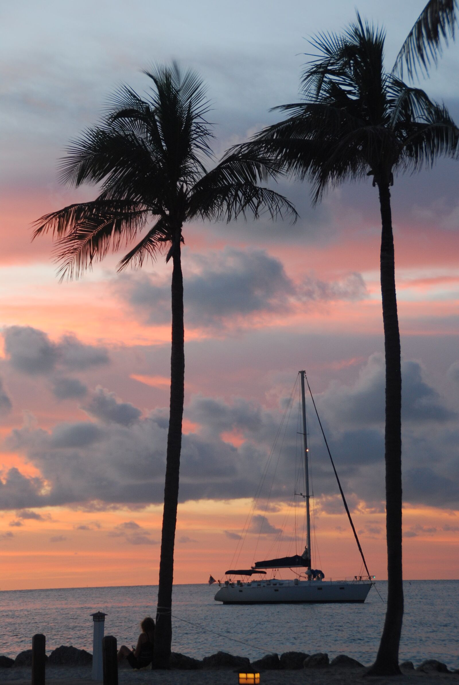 Nikon D40X sample photo. Palm trees, sailboat, sunset photography