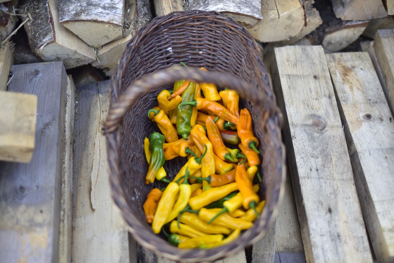 Nikon D750 sample photo. Chilli, z te chile photography
