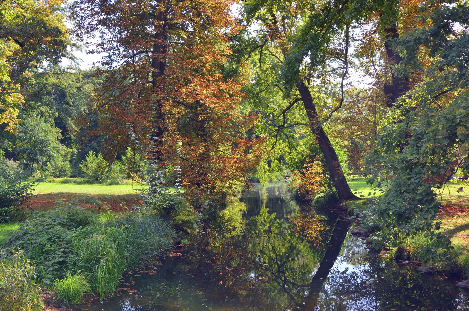 Nikon D3200 sample photo. Landscape, trees, river photography