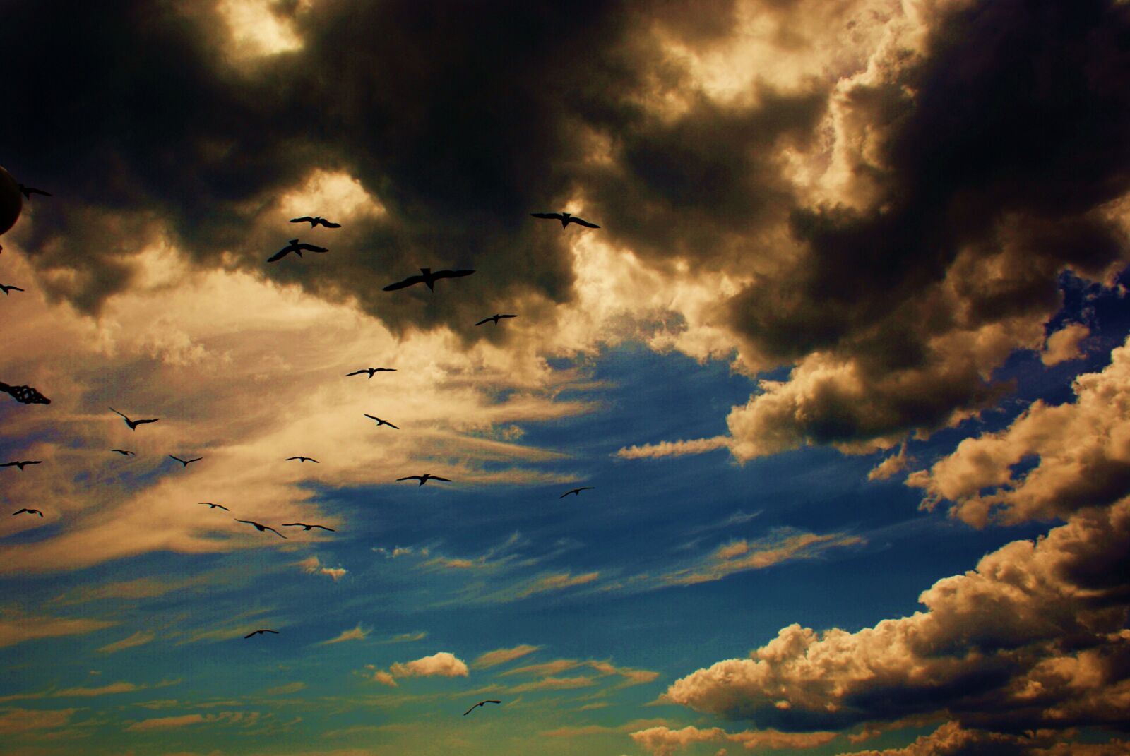 Sony Alpha DSLR-A200 sample photo. Clouds, birds, sky photography