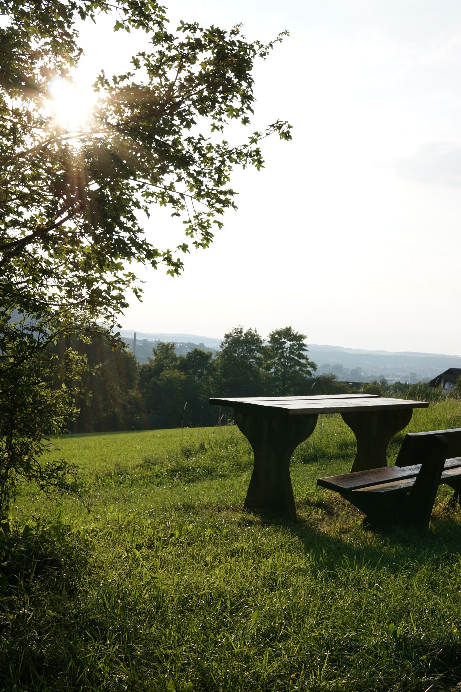 Sony a6000 + Sigma 30mm F2.8 EX DN sample photo. Sun, bank, relax photography