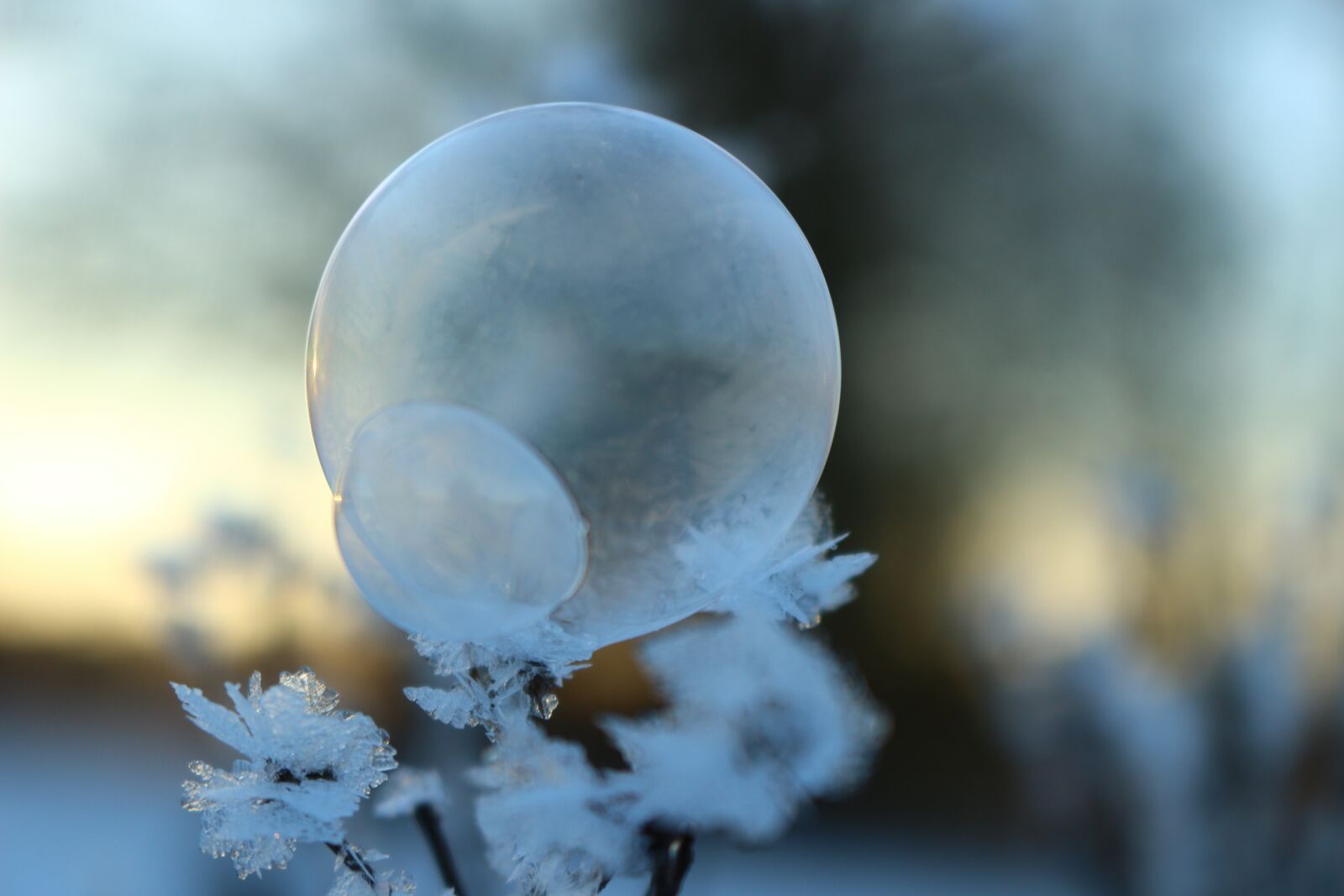 Canon EOS 100D (EOS Rebel SL1 / EOS Kiss X7) sample photo. Soap bubble, snow, frost photography