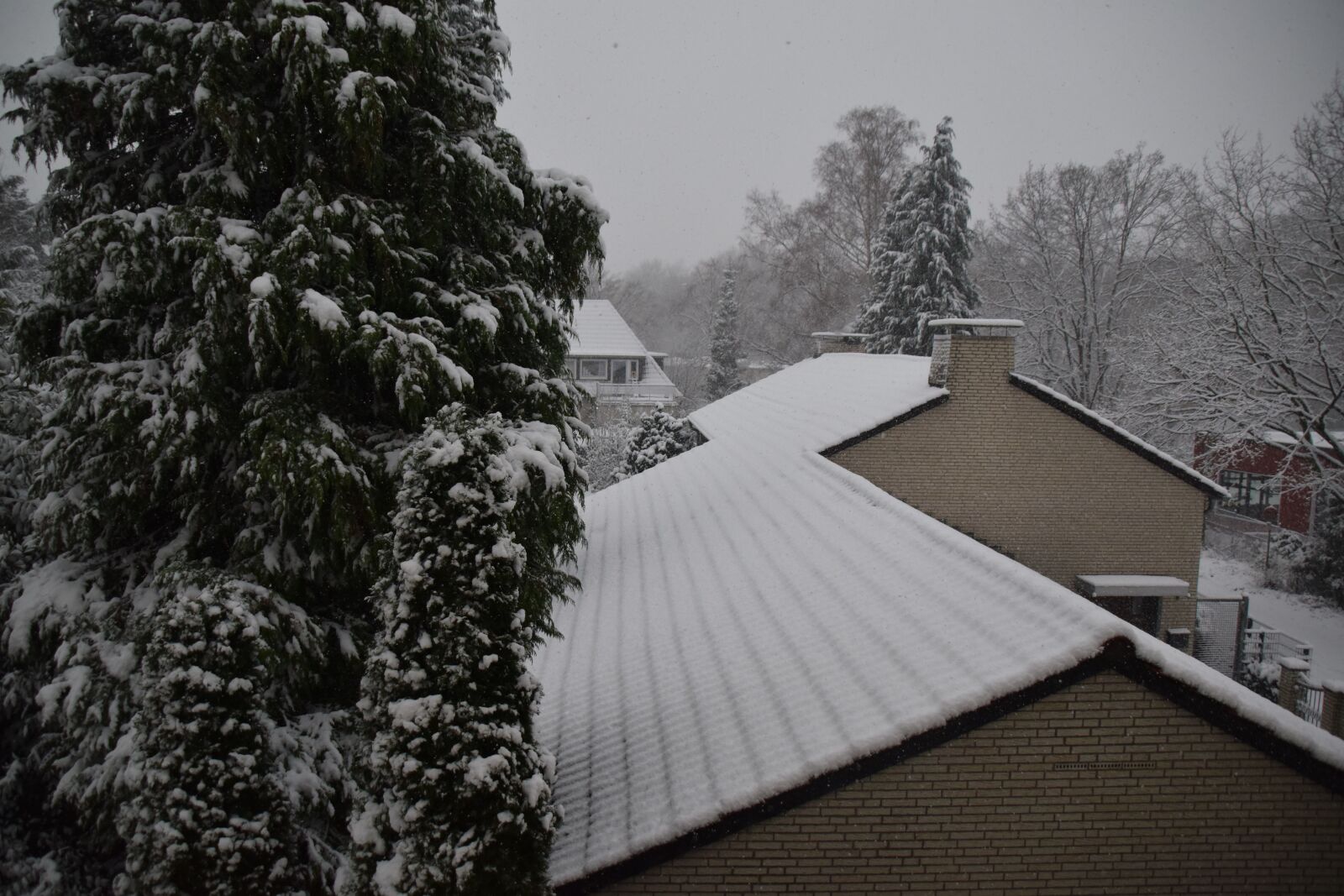 Nikon D5300 sample photo. Bielefeld, germany, winter in photography