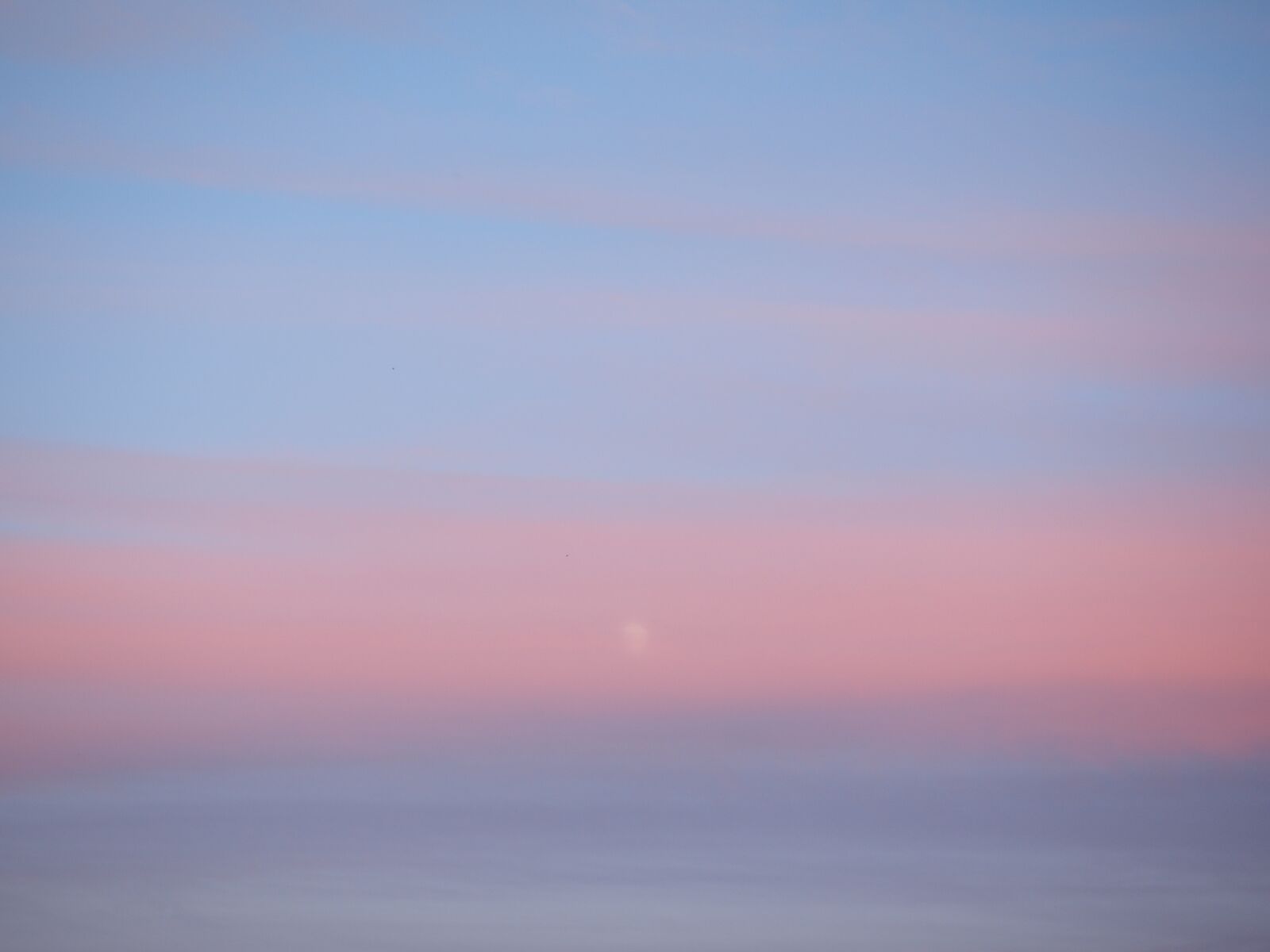 Olympus OM-D E-M1 + Olympus M.Zuiko Digital ED 12-40mm F2.8 Pro sample photo. Sky, evening sky, sunset photography