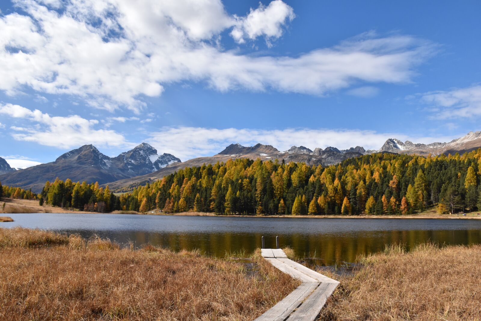 Nikon D5500 sample photo. Laj da staz, stazersee photography