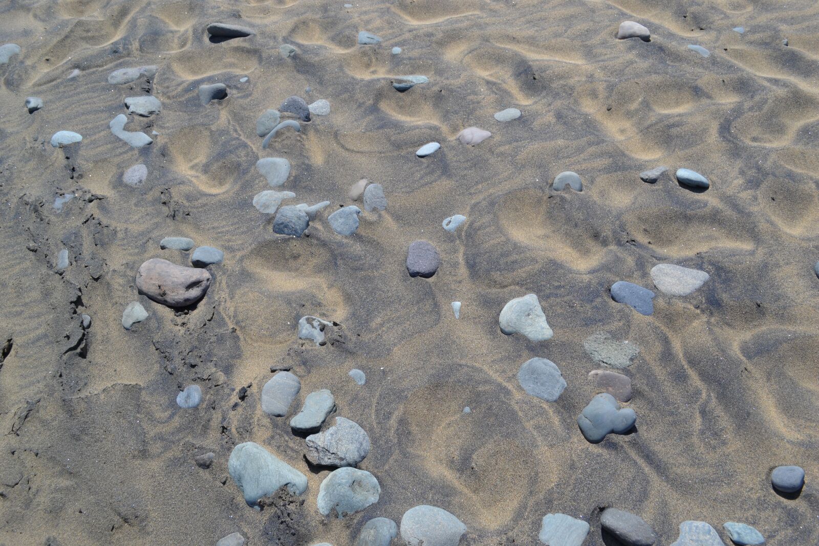 Nikon D3100 sample photo. Sand, beach, costa photography