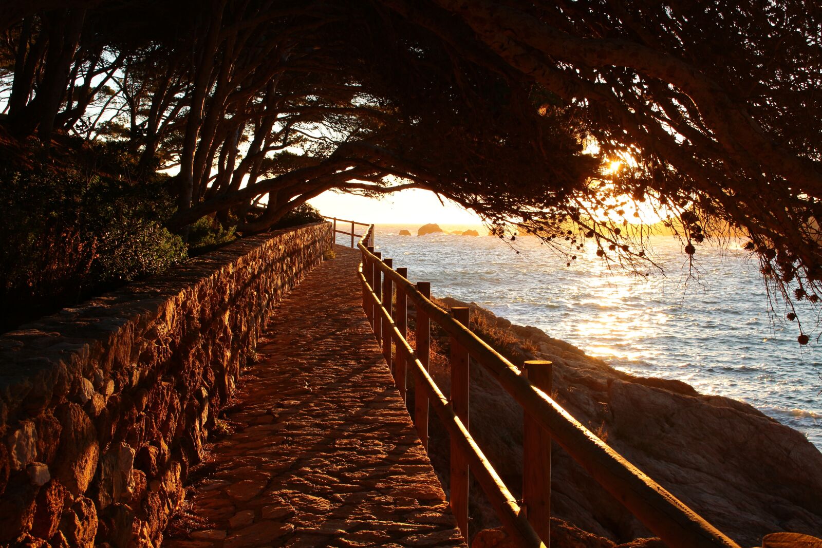 Canon EOS 100D (EOS Rebel SL1 / EOS Kiss X7) sample photo. Sunrise, sea, spain photography