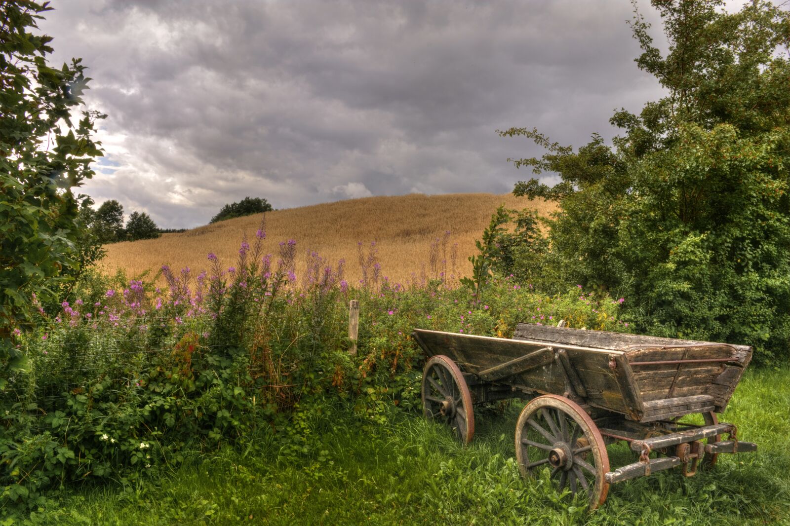 Nikon D7100 sample photo. Agriculture, cutaway van chassis photography