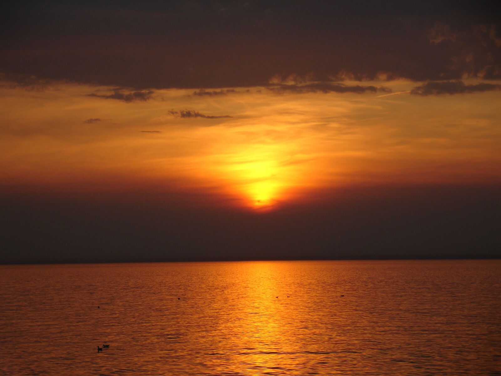 Sony DSC-V3 sample photo. Sunset, sea, baltic sea photography