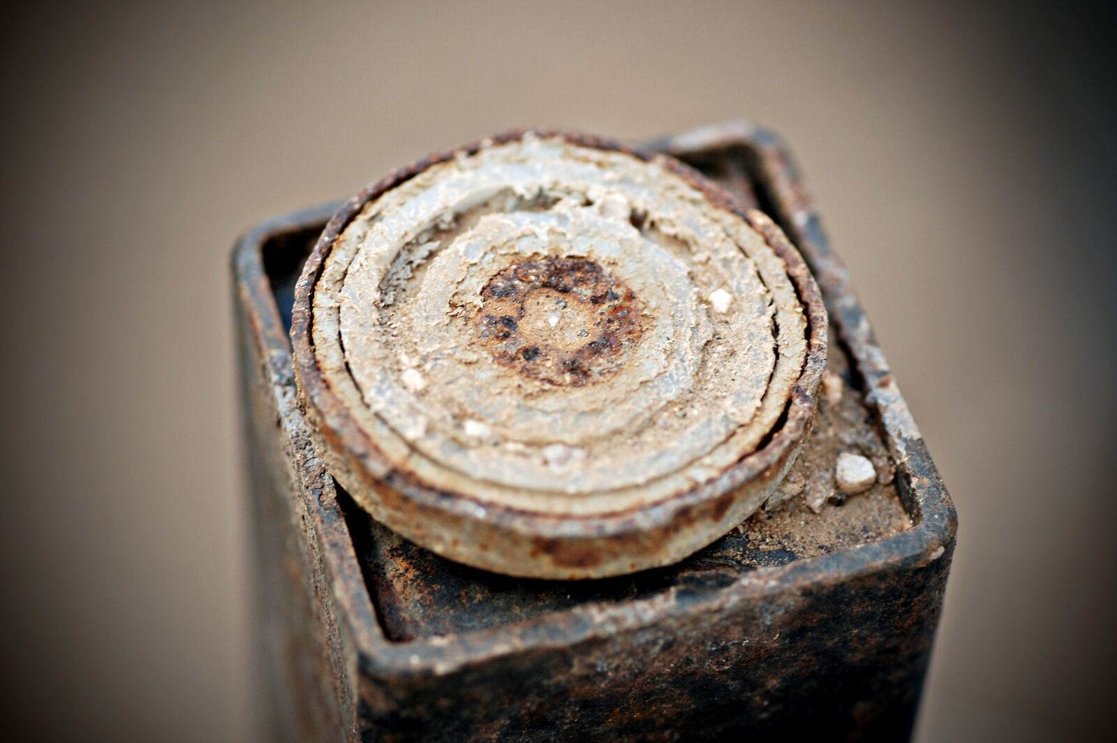 Nikon D40 sample photo. Rust, rusty, metal photography