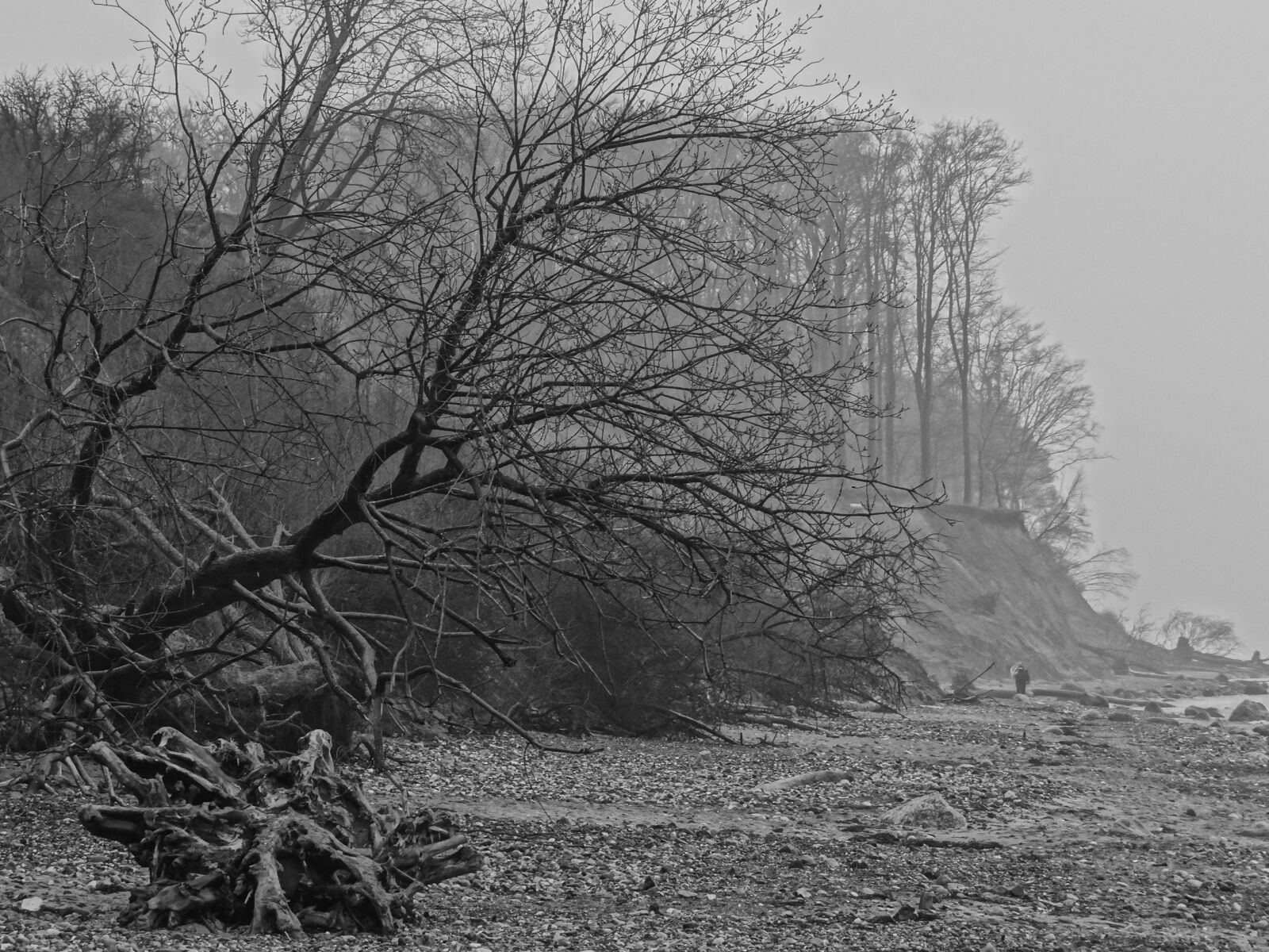 Sony DSC-HX200V sample photo. Coast, baltic sea, fog photography