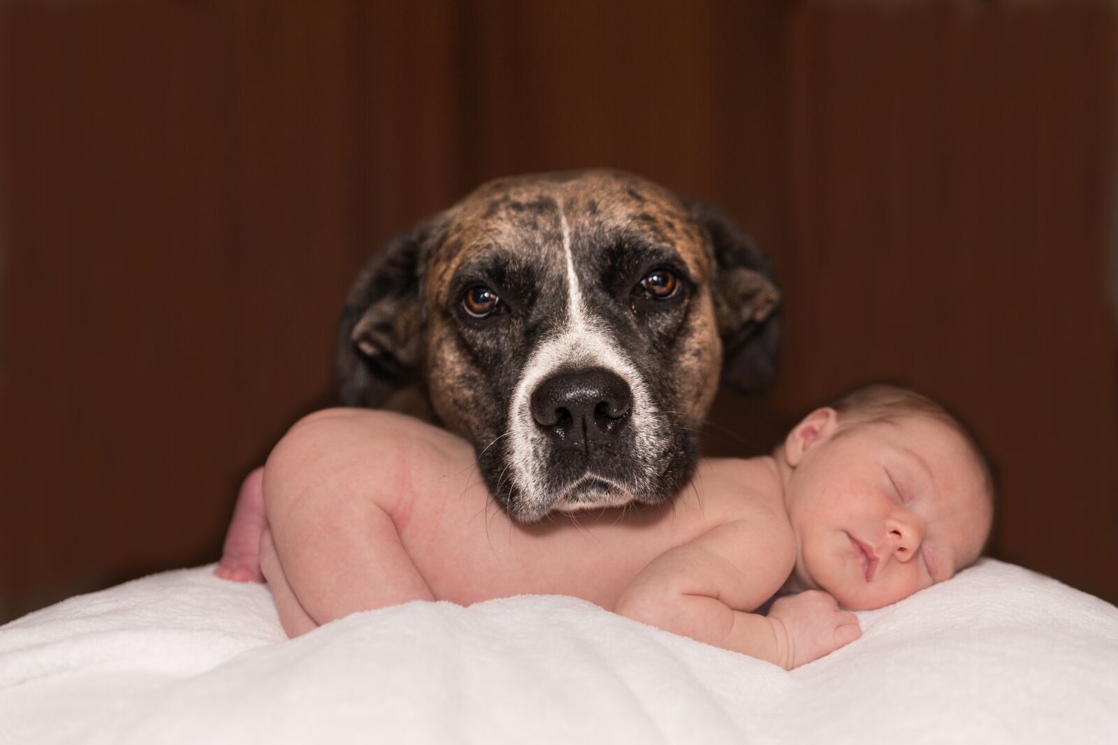 Canon EOS 5D Mark III sample photo. Dog, baby, animal photography