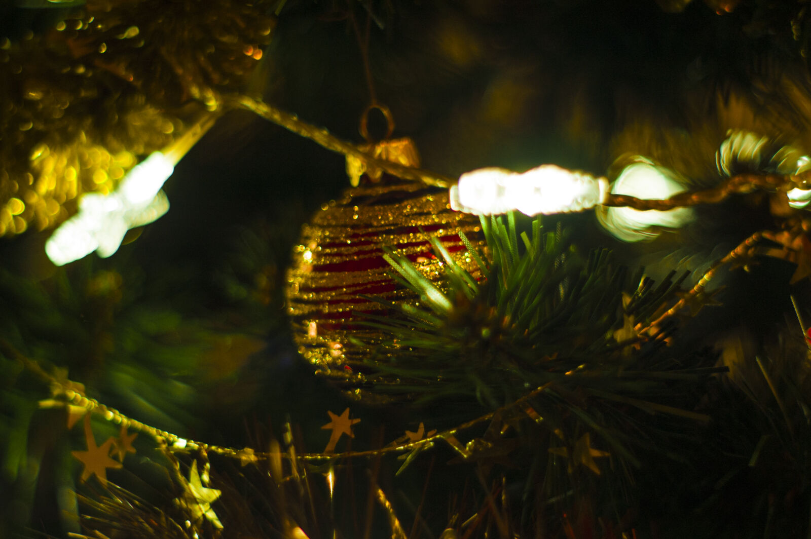 KONICA MINOLTA DYNAX 7D sample photo. Bauble, christmas, gold, green photography