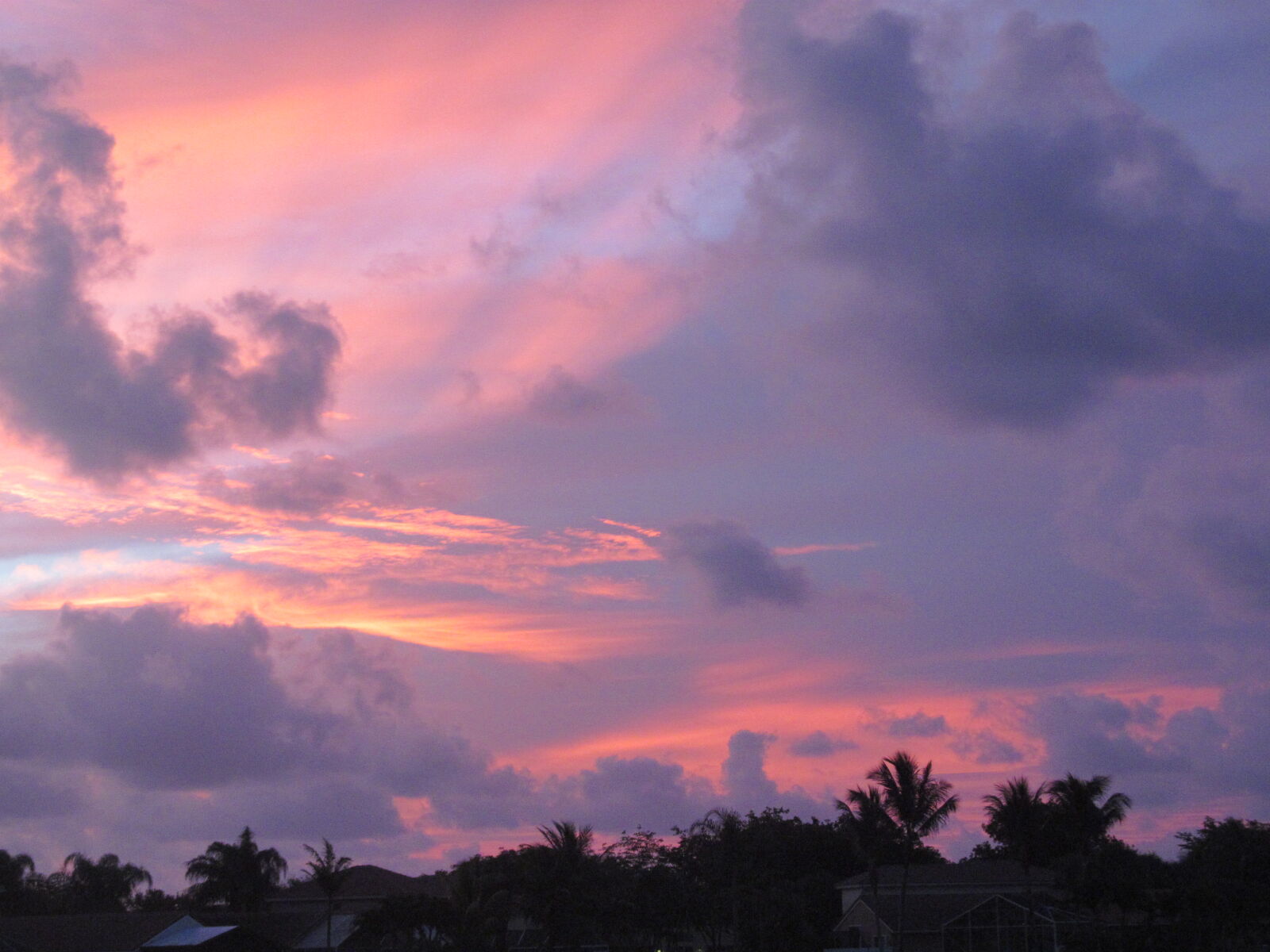 Canon PowerShot SX150 IS sample photo. Purple, sky photography