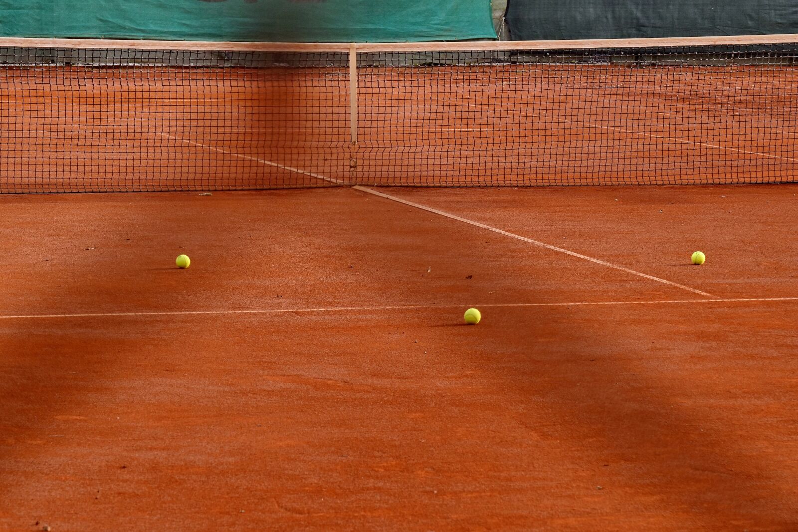 Nikon D5500 sample photo. Ball, network, tennis, tennis photography