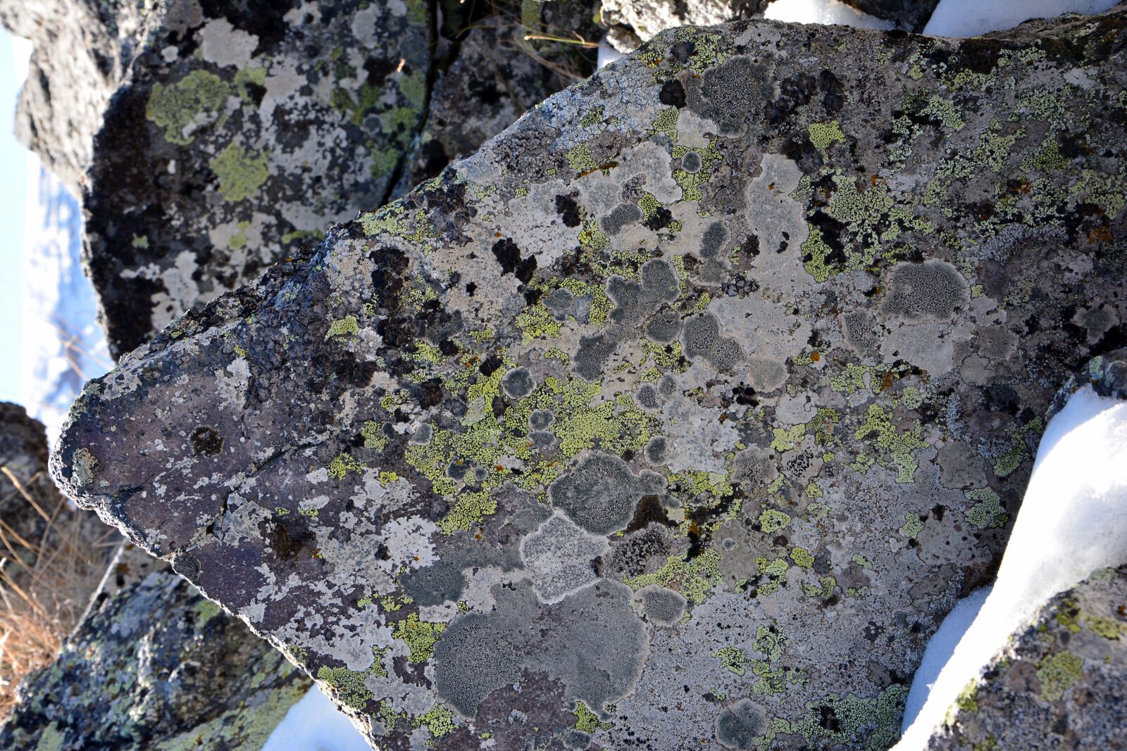Nikon D7100 sample photo. Kennedy, stone, texture photography