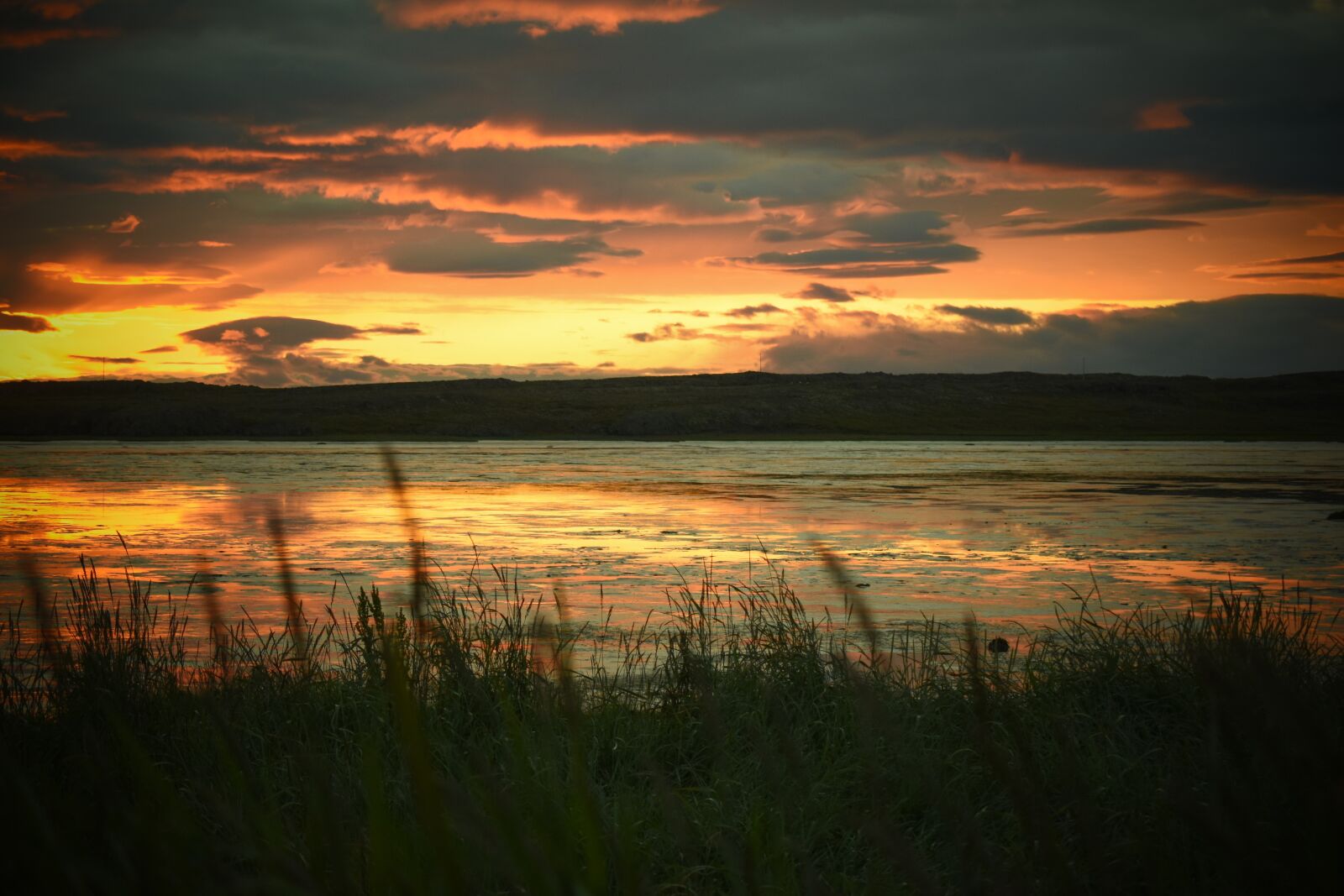 Nikon D5600 sample photo. Sunset, dawn, sun photography