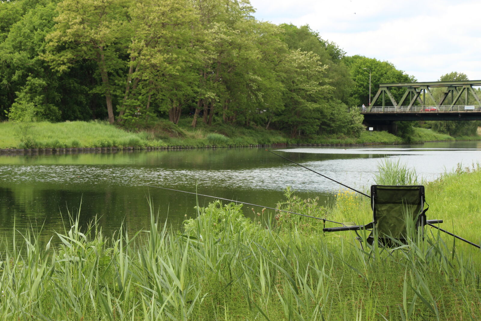 Canon EOS 700D (EOS Rebel T5i / EOS Kiss X7i) sample photo. Evergreen, fishing, green, grass photography