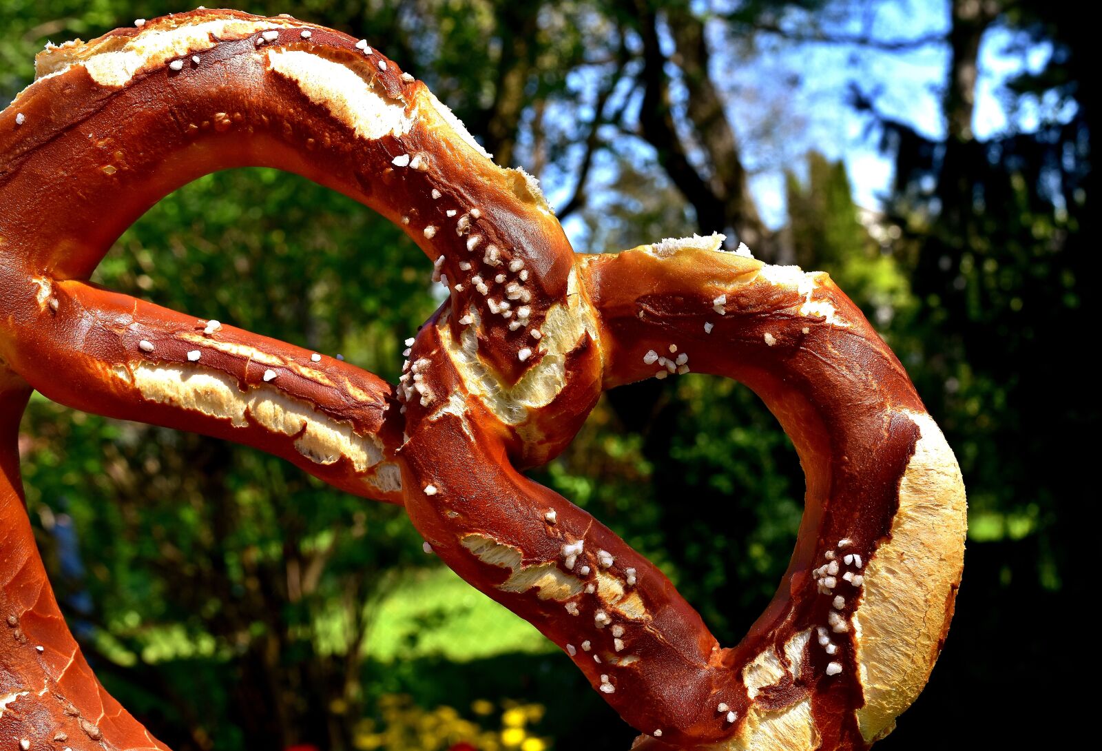 Nikon D7200 sample photo. Pretzel, salt, pretzels photography
