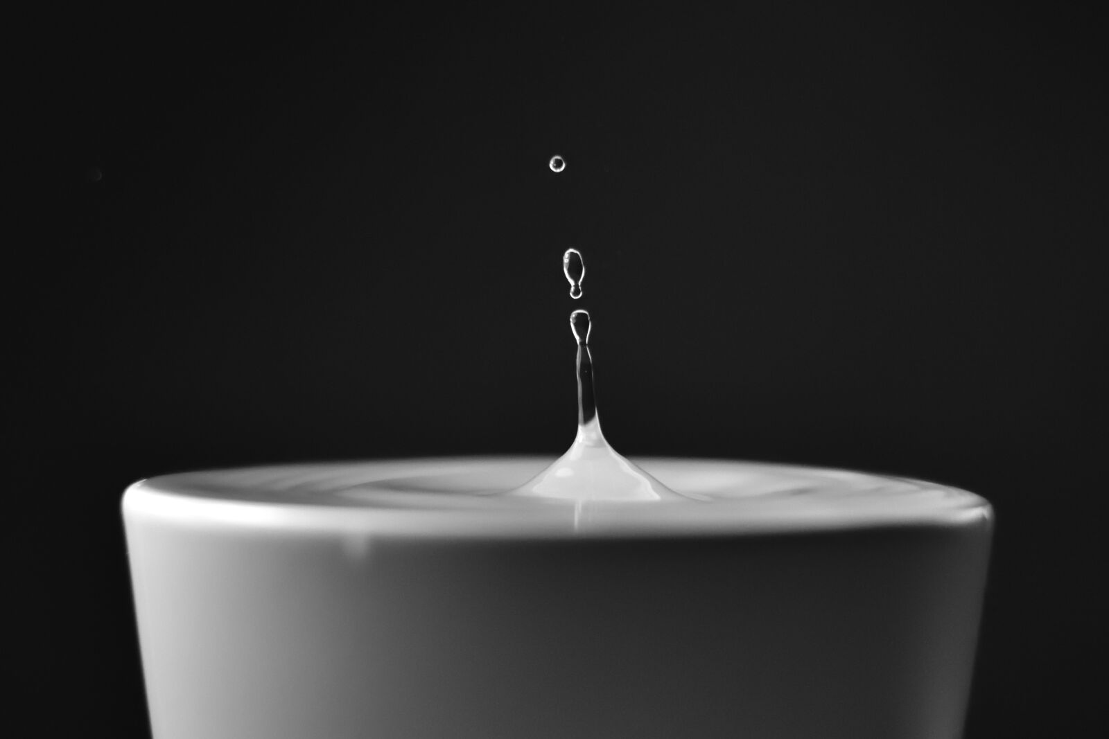 Nikon D7200 sample photo. Fall, water, drop photography