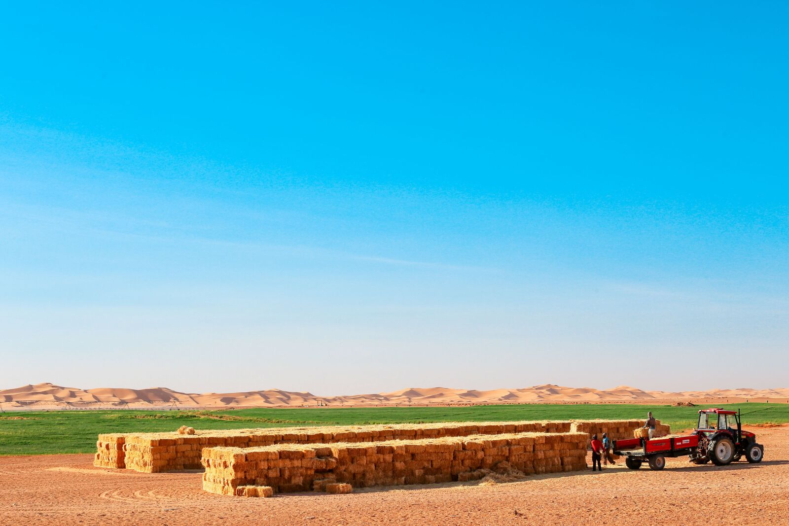 Canon EF 50mm F1.8 II sample photo. Outdoor, agro industry, sky photography