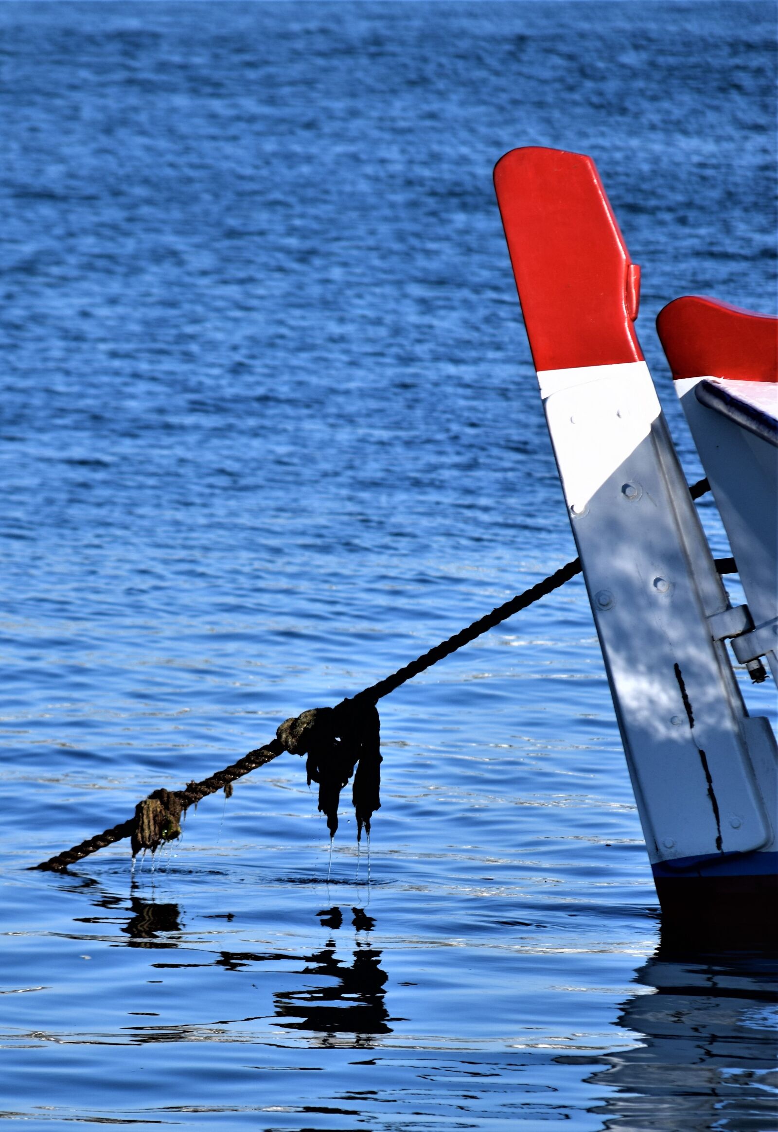 Nikon D3300 sample photo. Boat, rope, ship photography