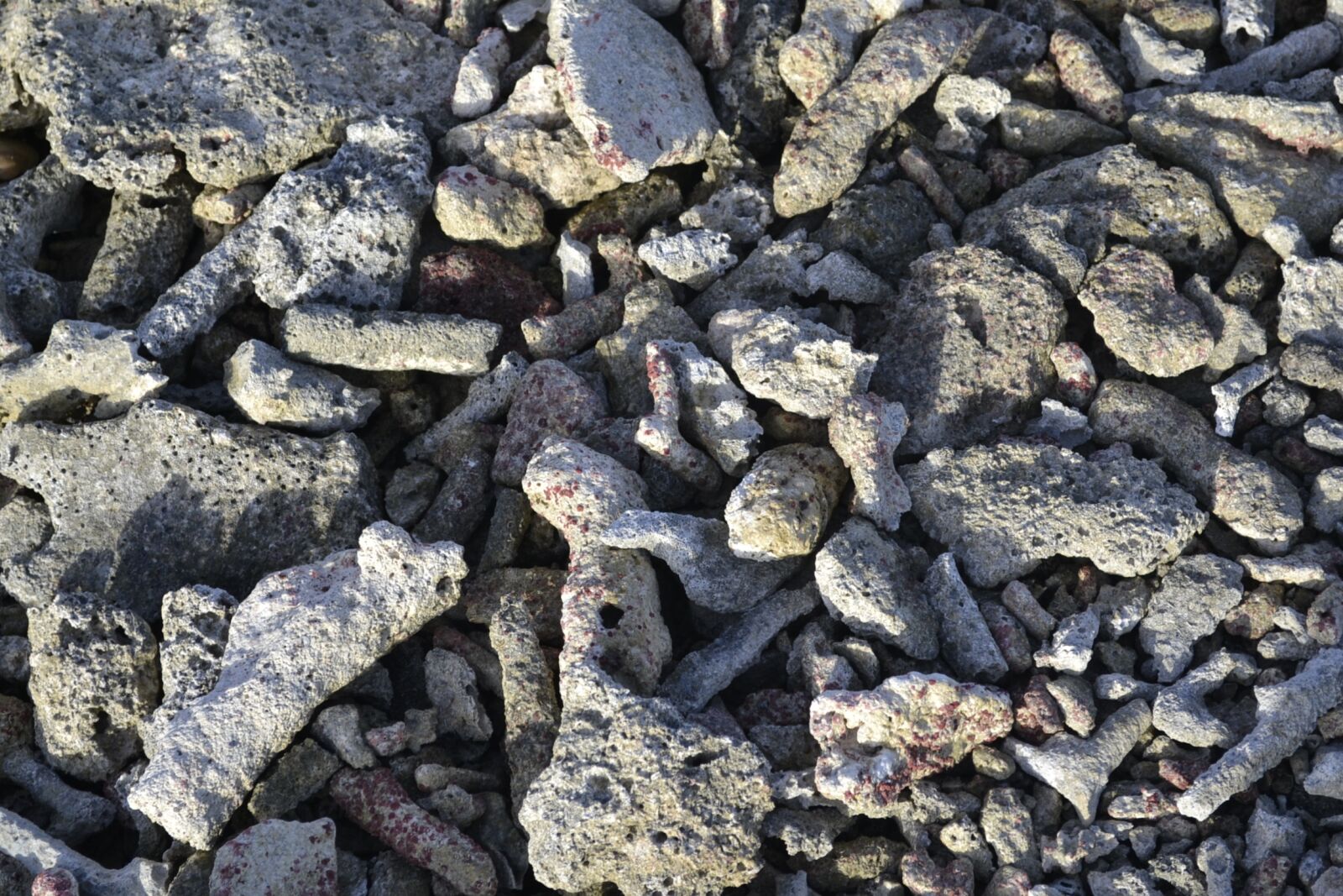 Nikon D3100 sample photo. Stones, beach, grey photography