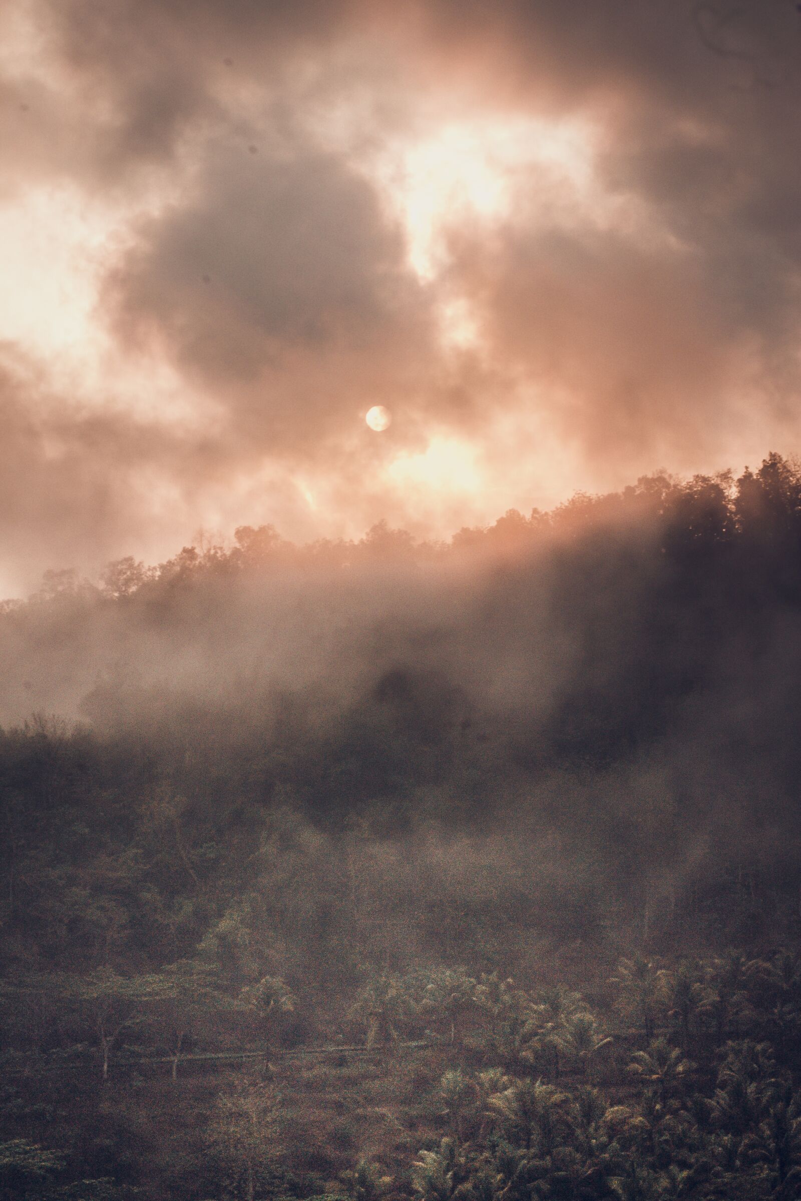 YN50mm f/1.8 II sample photo. Landscape, sun, sunrise photography