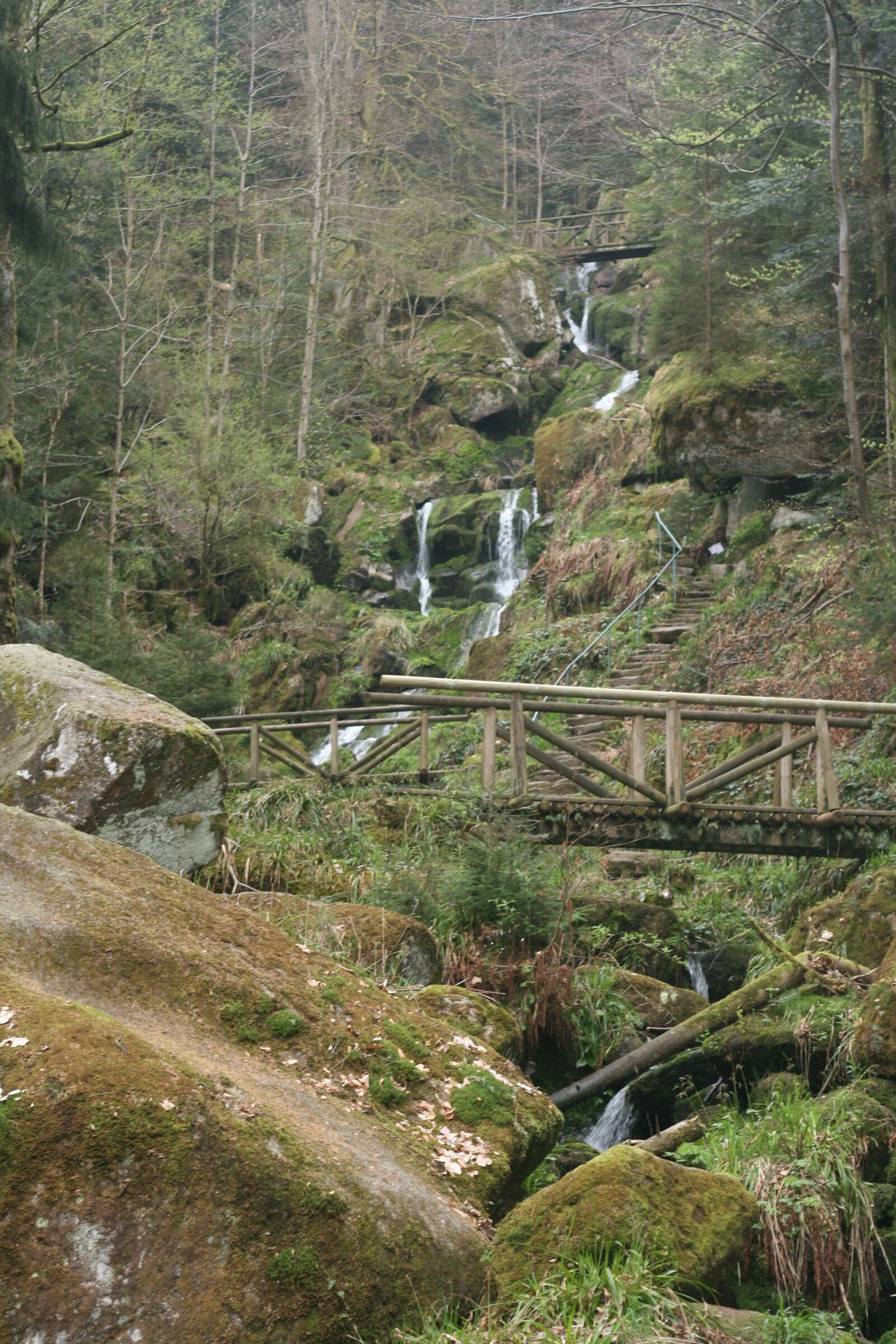 Canon EOS 400D (EOS Digital Rebel XTi / EOS Kiss Digital X) sample photo. Forest, waterfall, nature photography