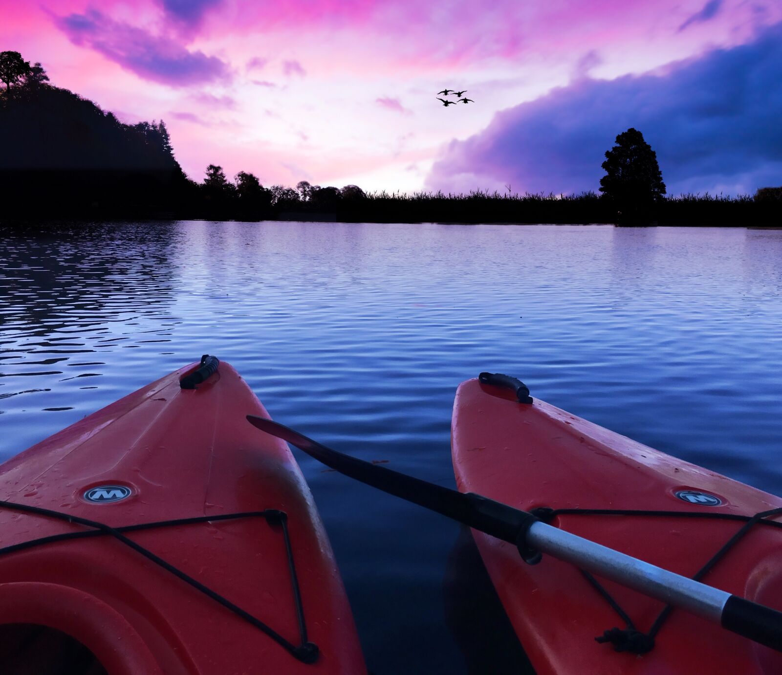 Apple iPhone 6s sample photo. Kayaks, kayaking, water photography